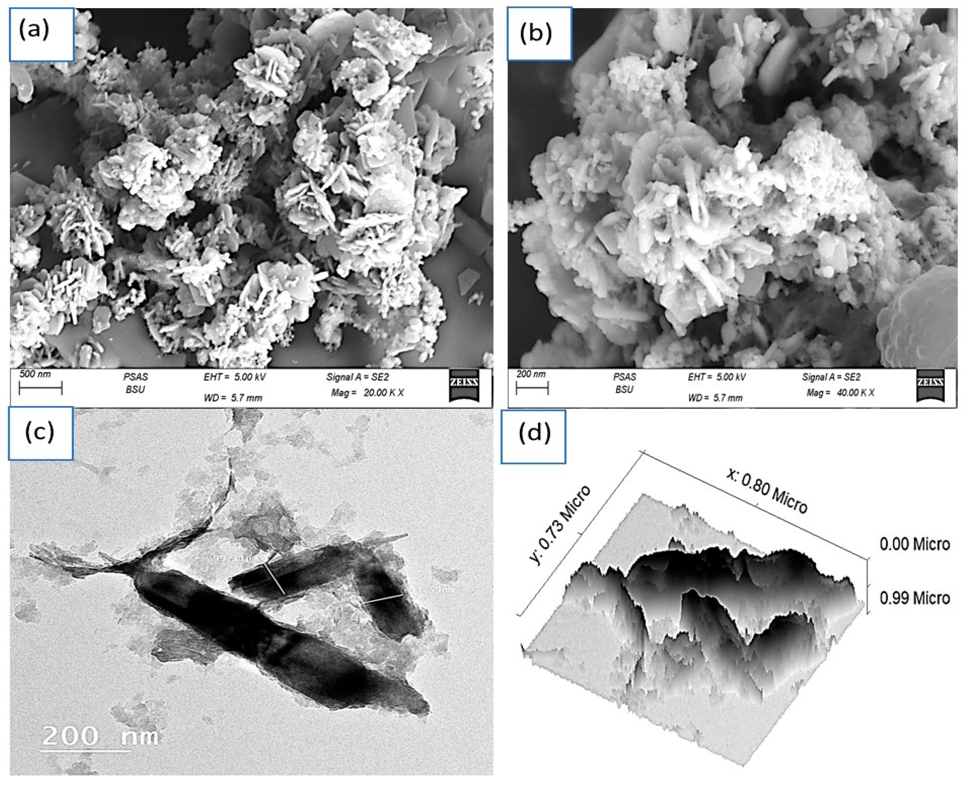 Coatings 12 01834 g002 Coatings 12 01834 g002