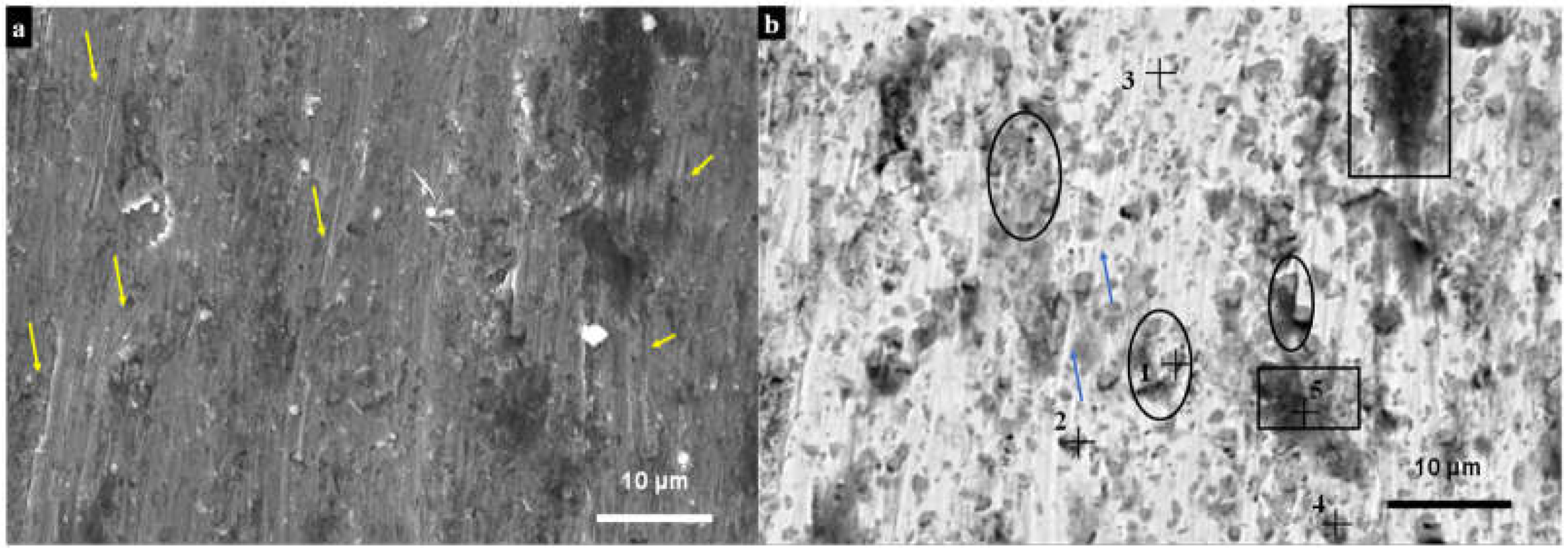 Coatings 12 01835 g011 Coatings 12 01835 g011