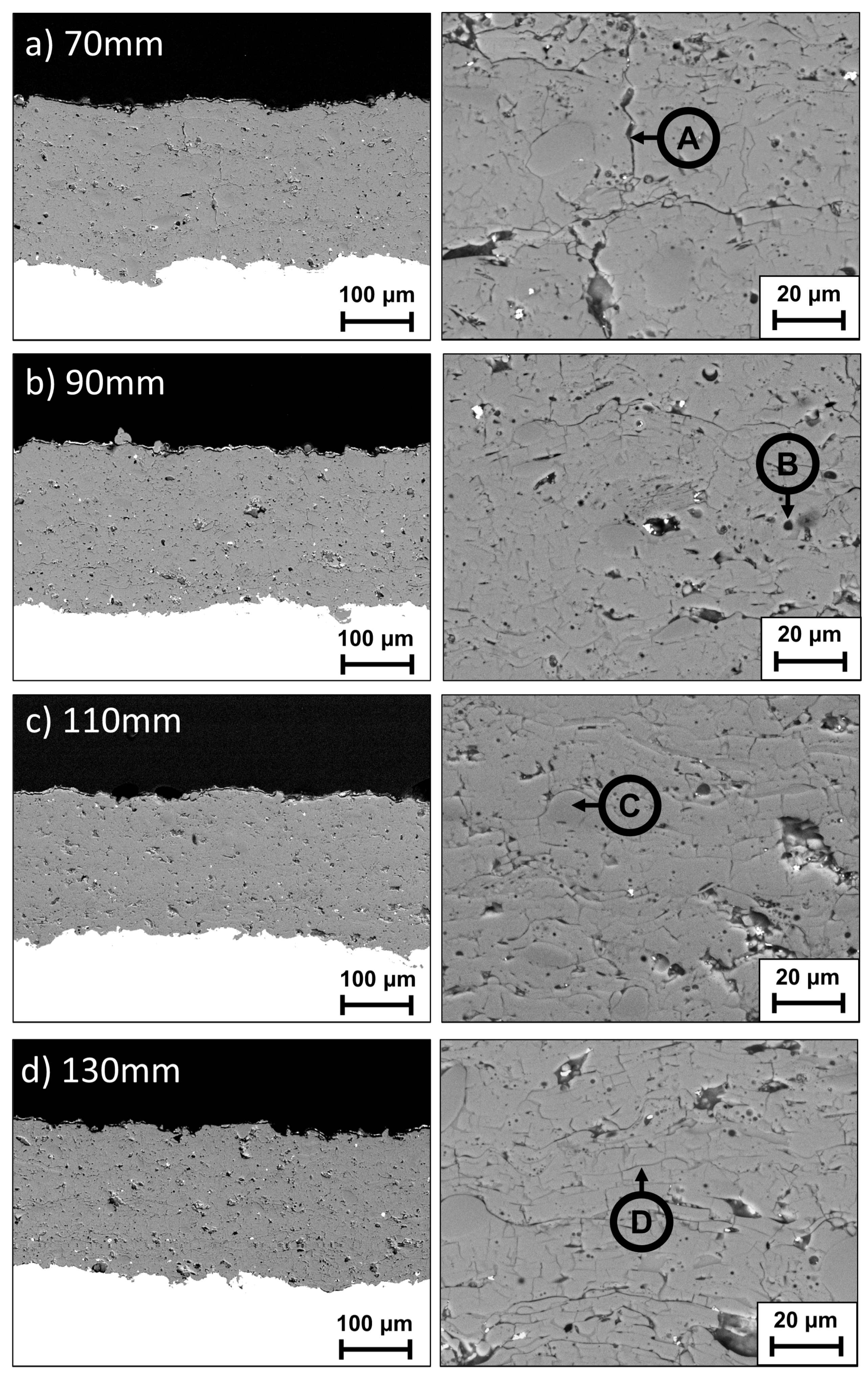 Coatings 12 01847 g002