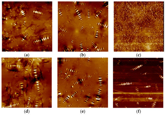 Rheological Properties and Microstructural Analysis of Asphalt Binder ...