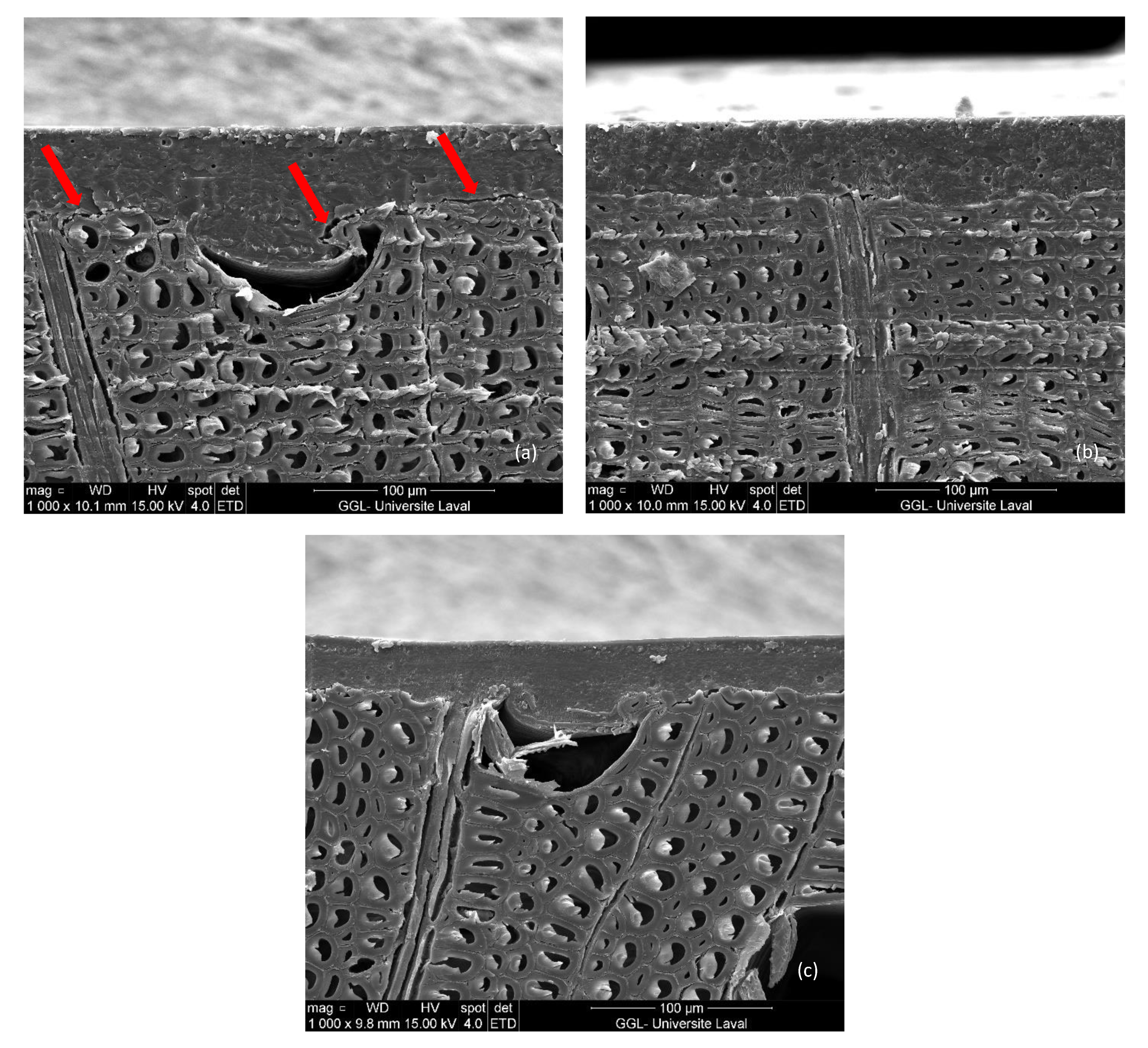 Coatings 12 01850 g009