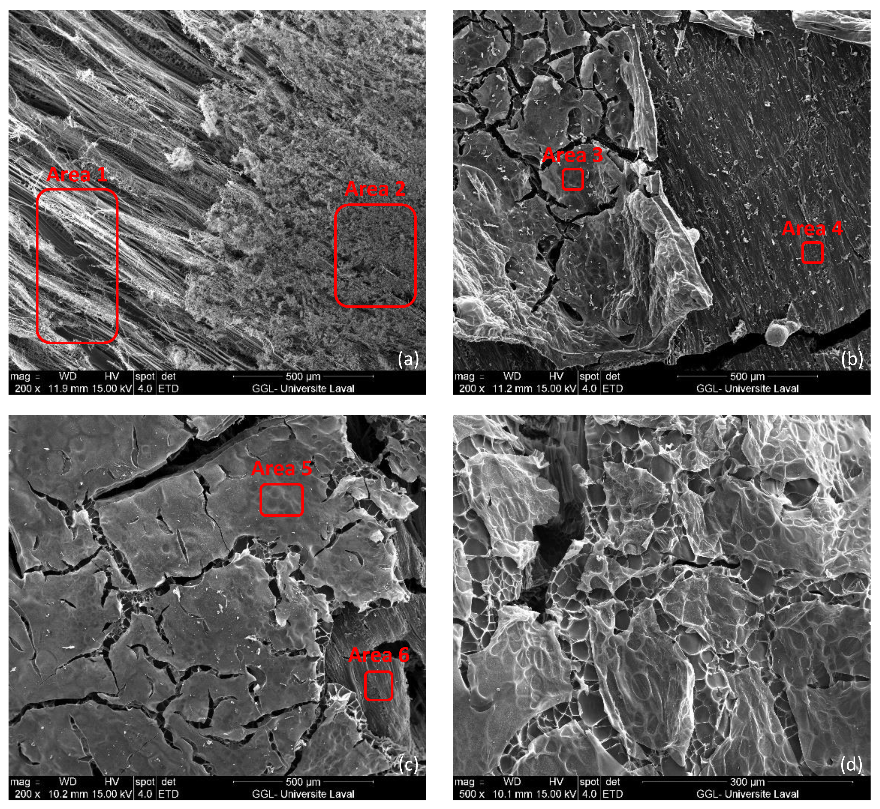 Coatings 12 01850 g011
