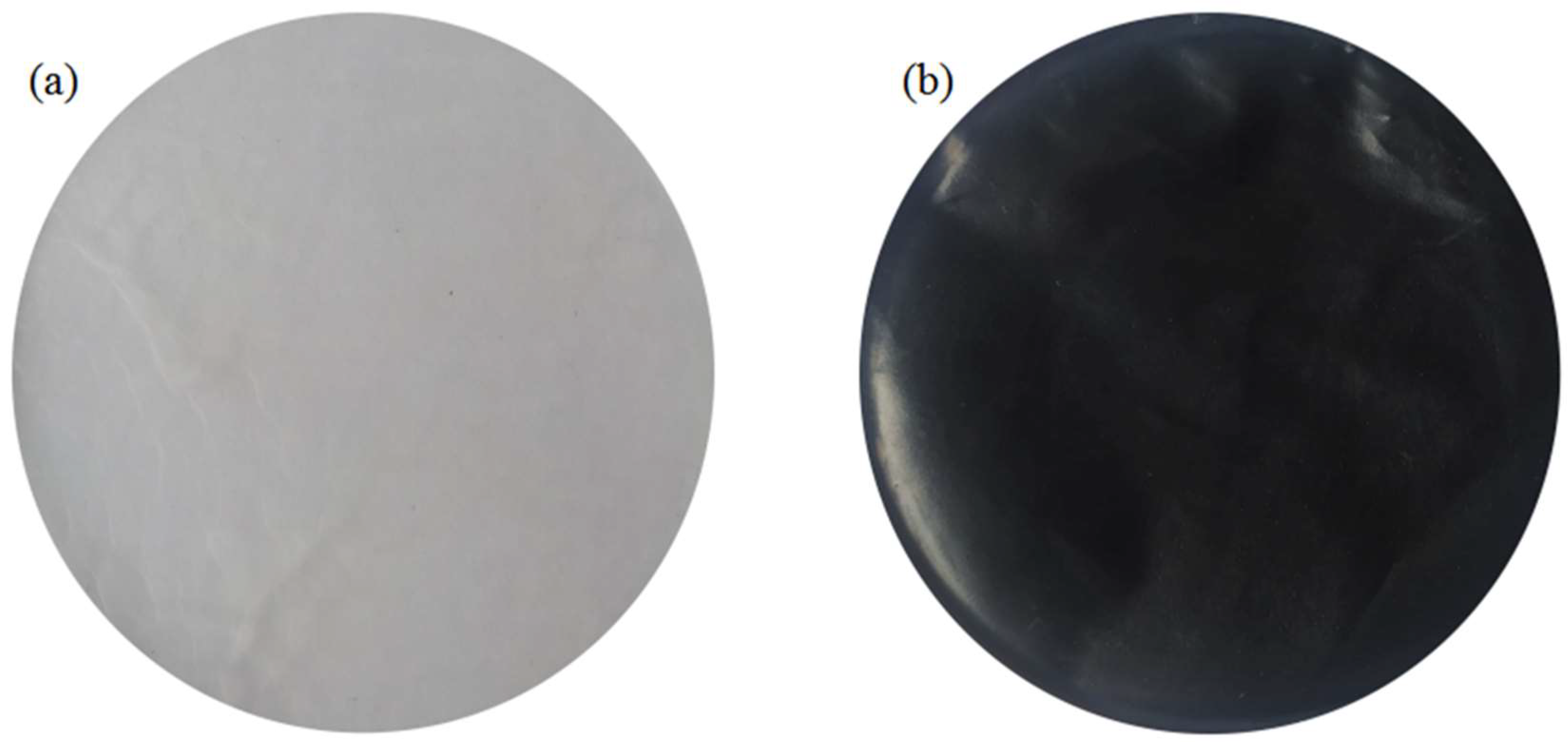 Coatings 12 01851 g002