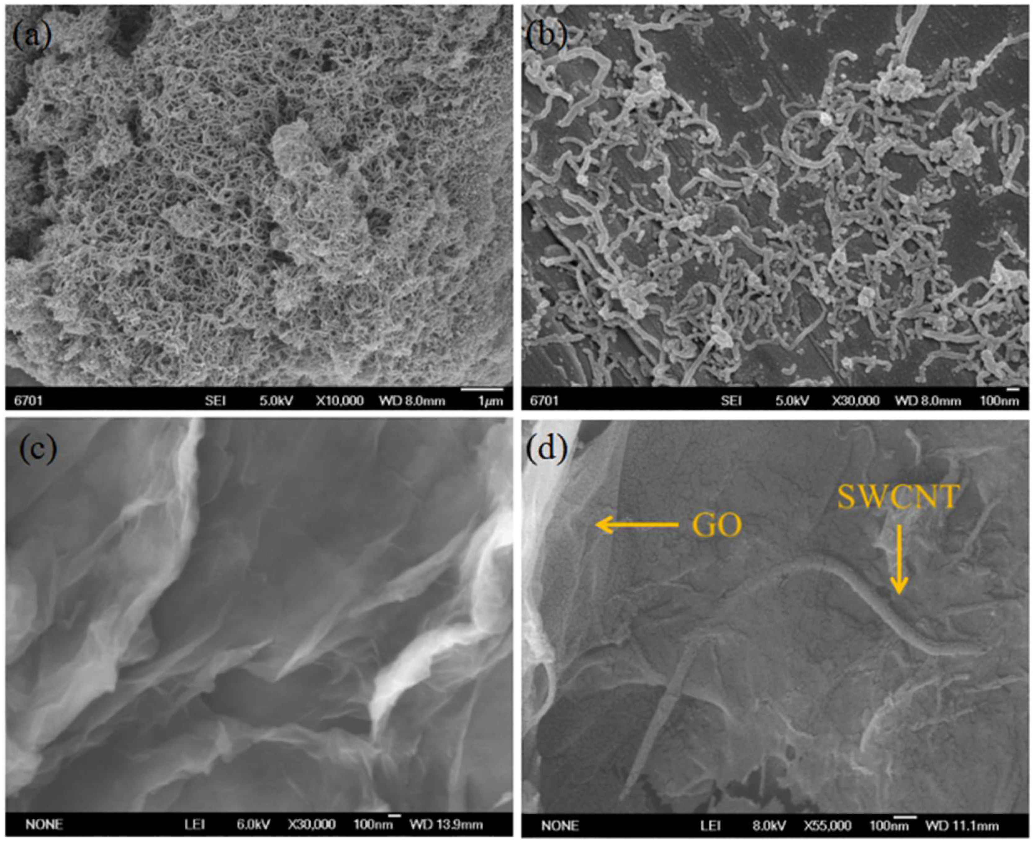 Coatings 12 01851 g003