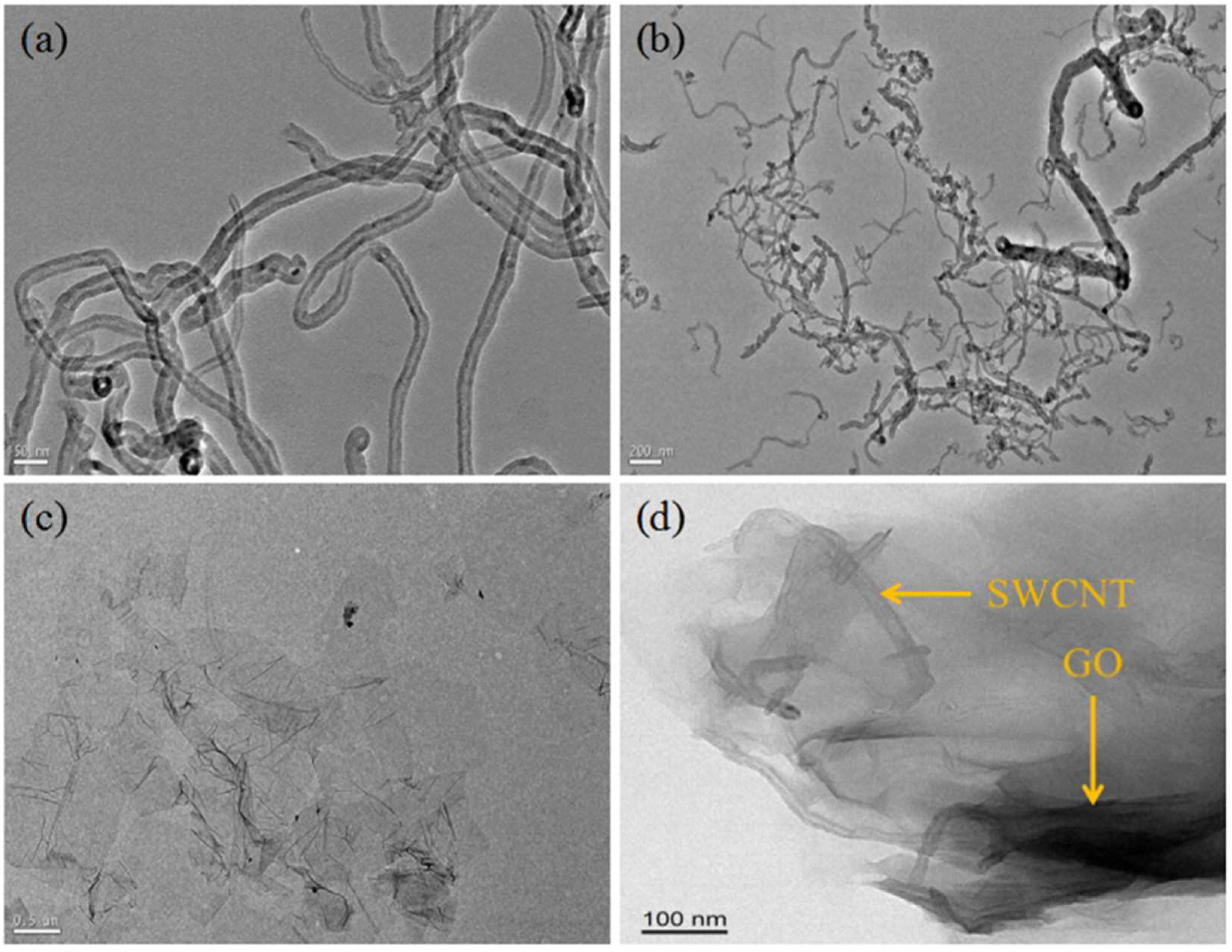 Coatings 12 01851 g004