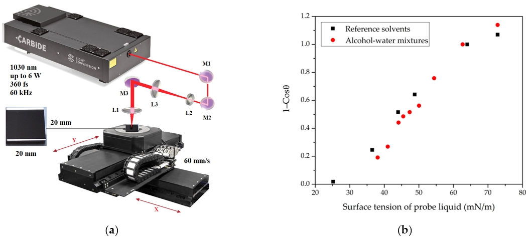 Coatings 12 01852 g001