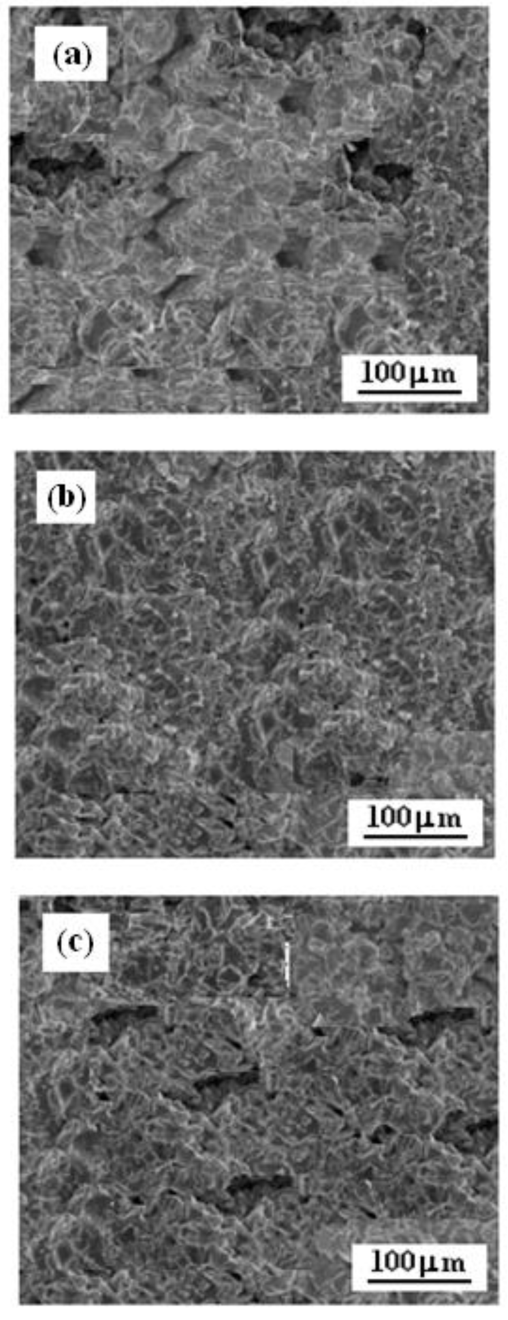Coatings 12 01853 g003