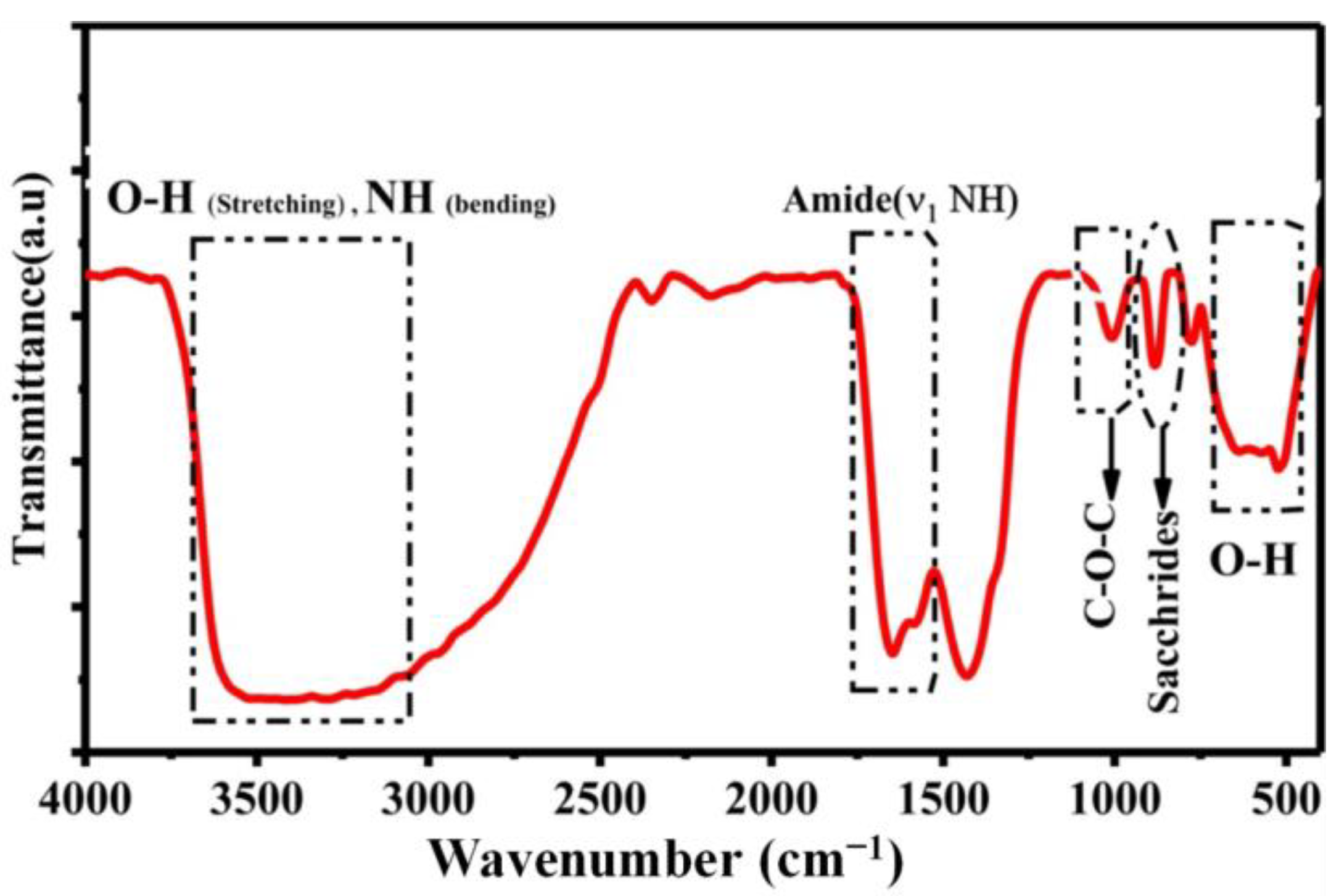 Coatings 12 01854 g003