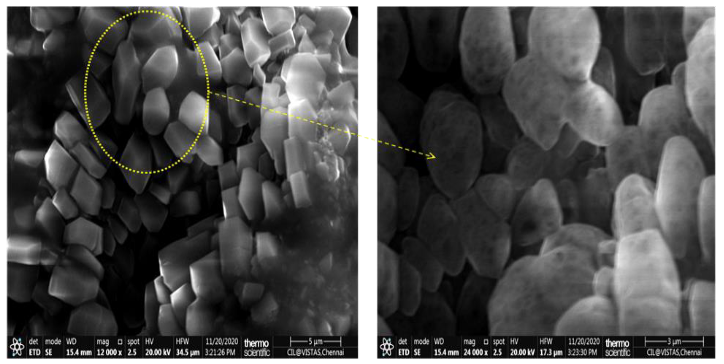Coatings 12 01854 g004