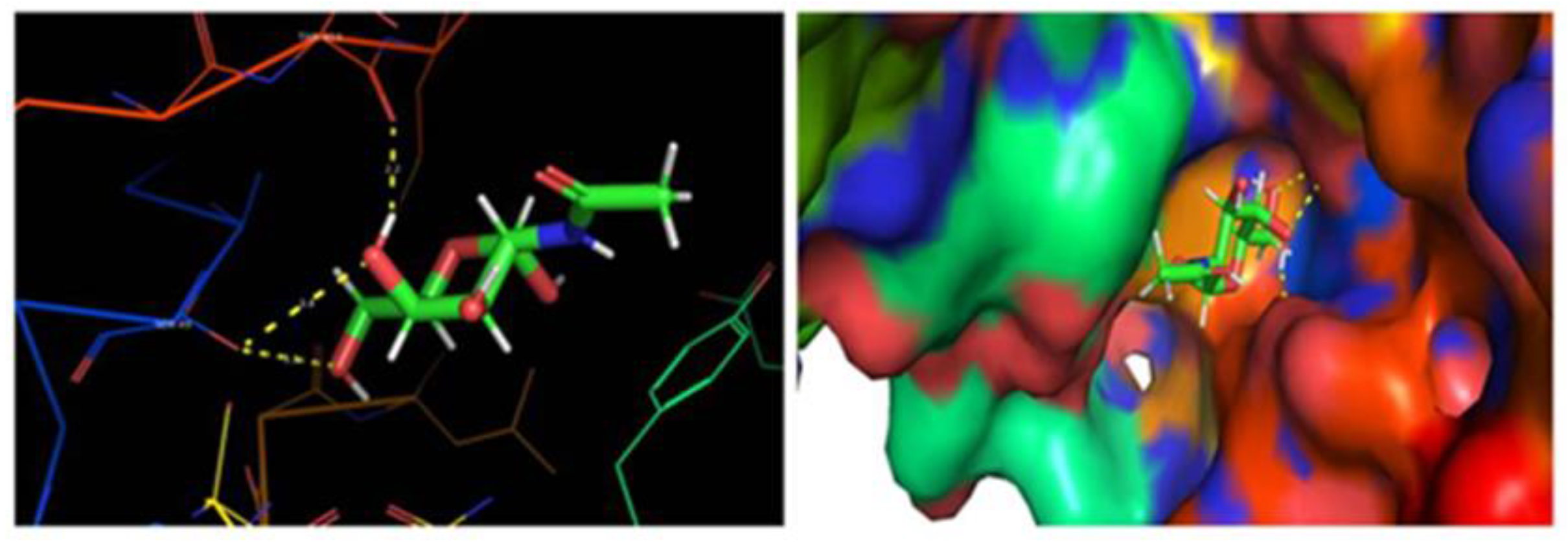 Coatings 12 01854 g007
