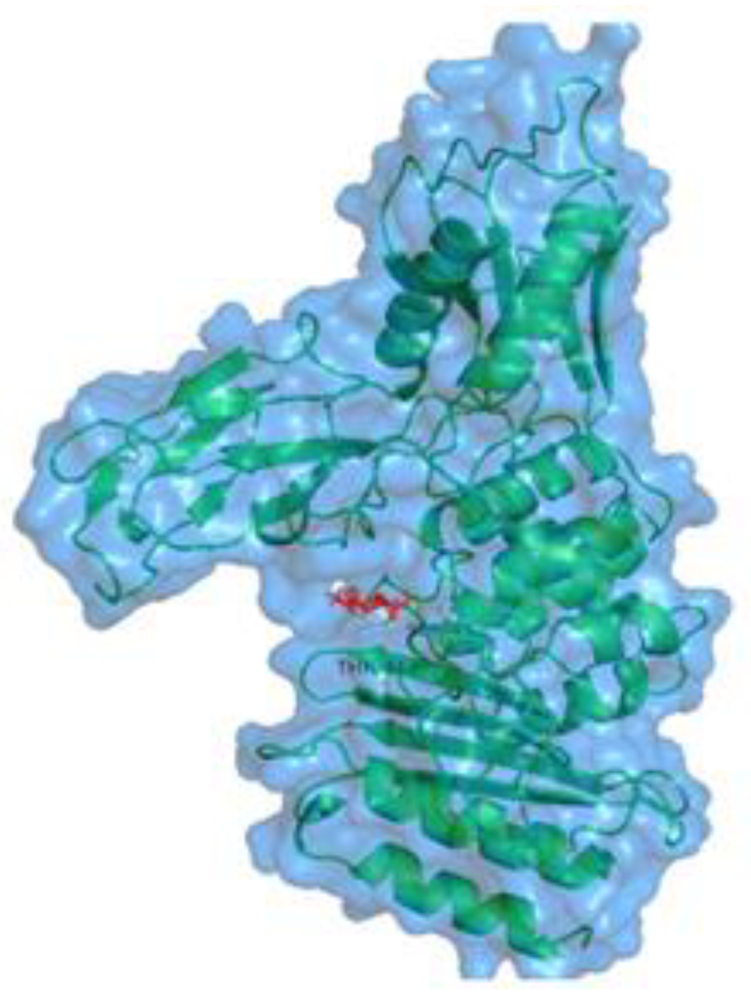 Coatings 12 01854 g008