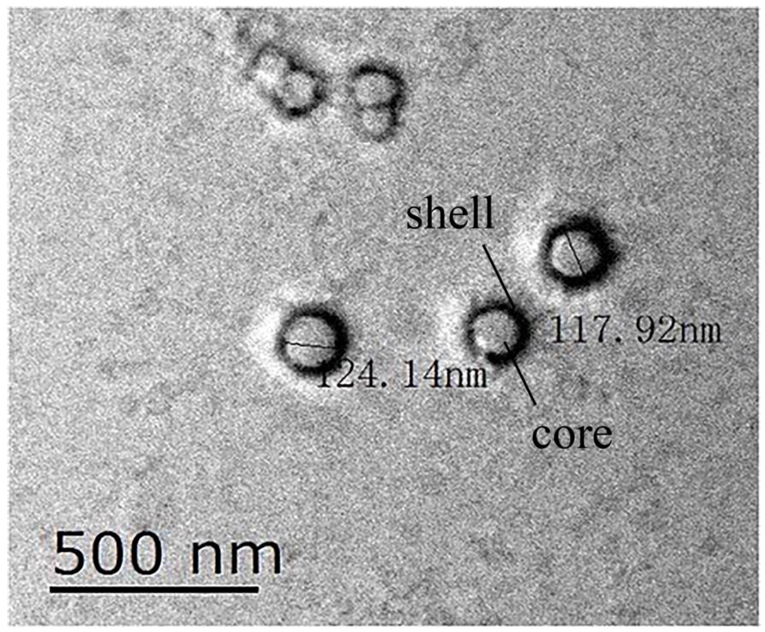 Coatings 12 01857 g004 Coatings 12 01857 g004