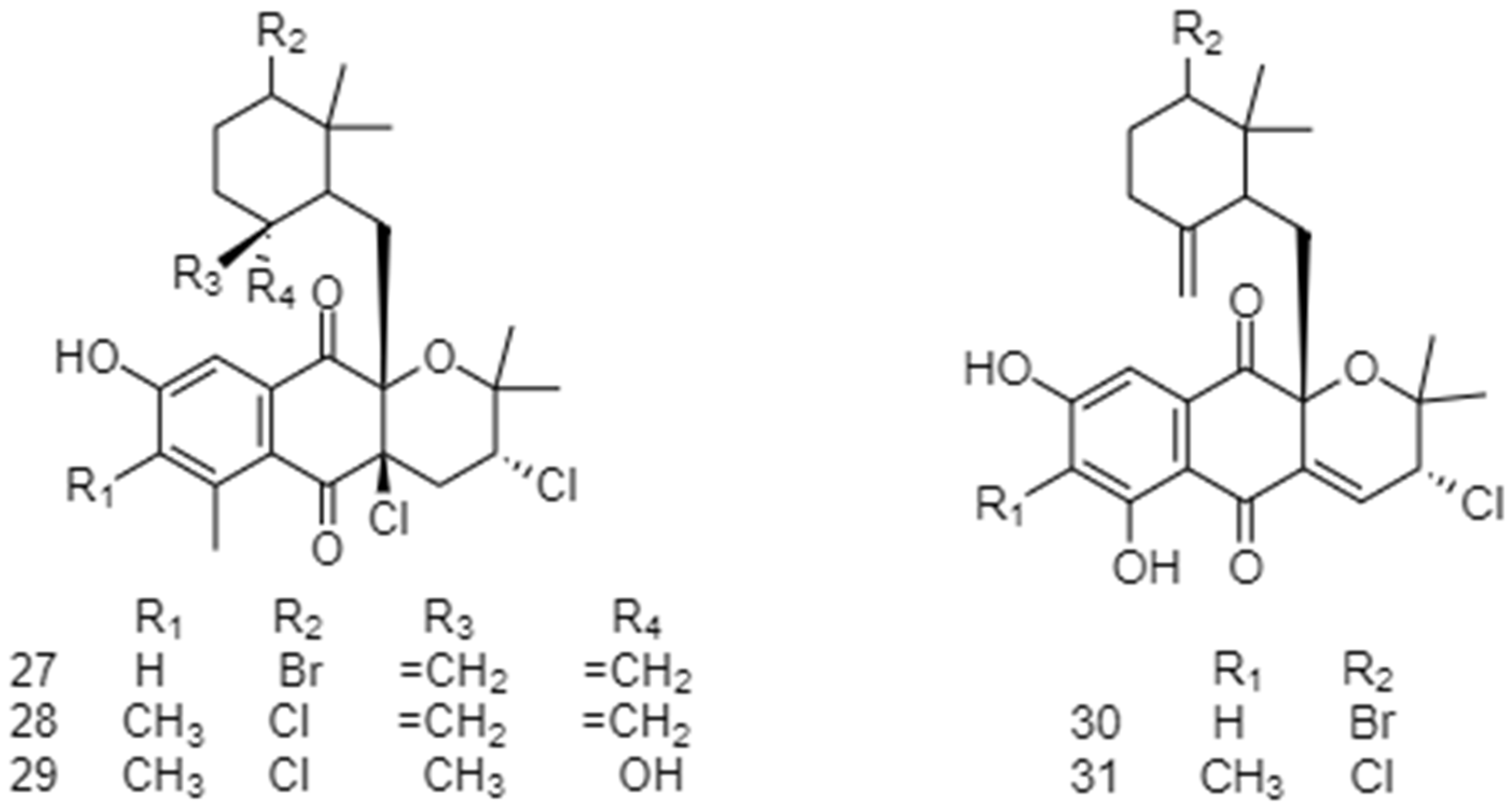 Coatings 12 01858 g017b Coatings 12 01858 g017b