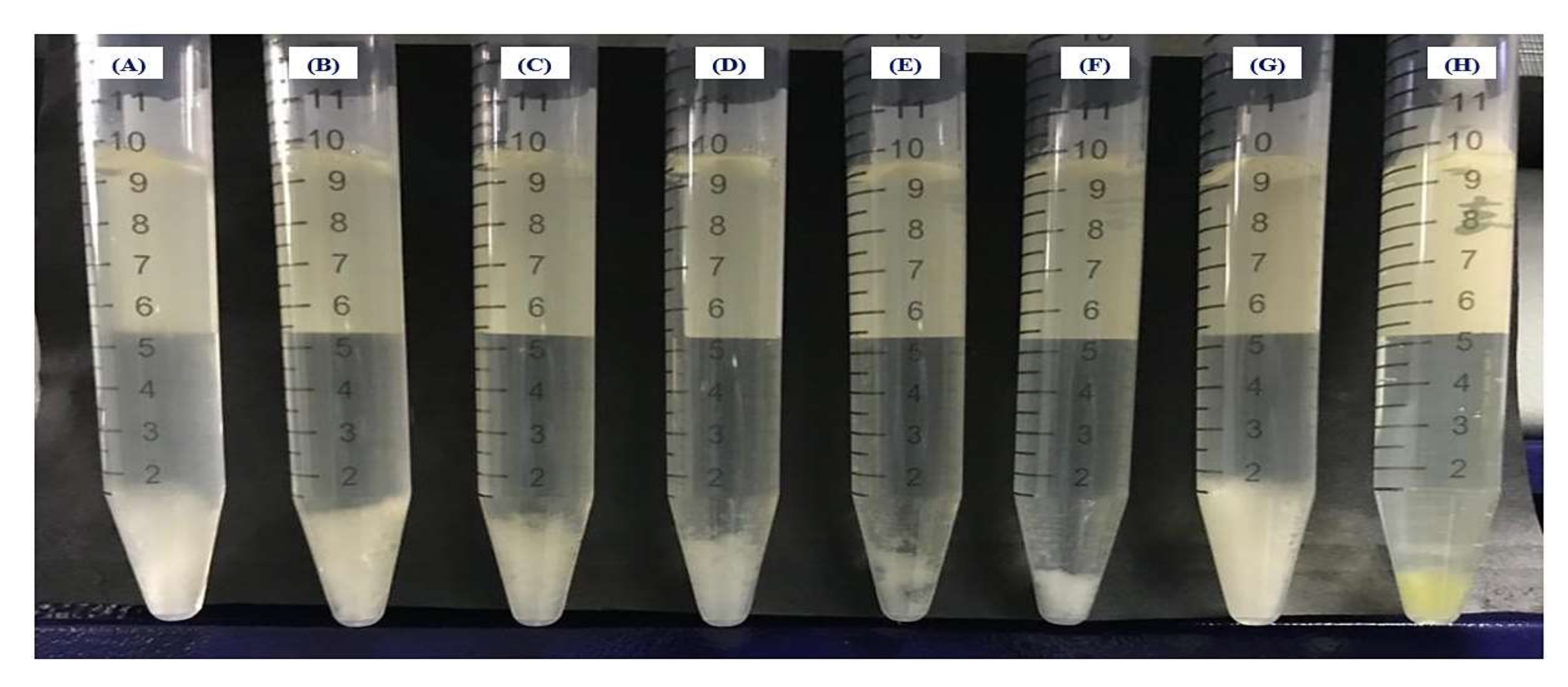 Coatings 12 01864 g003
