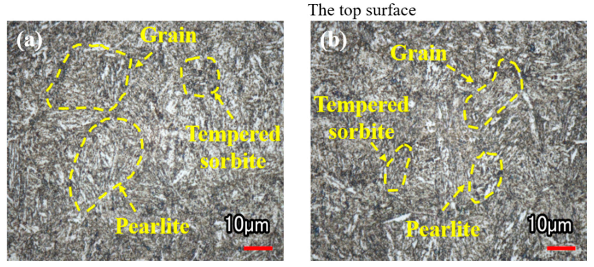 Coatings 12 01872 g012