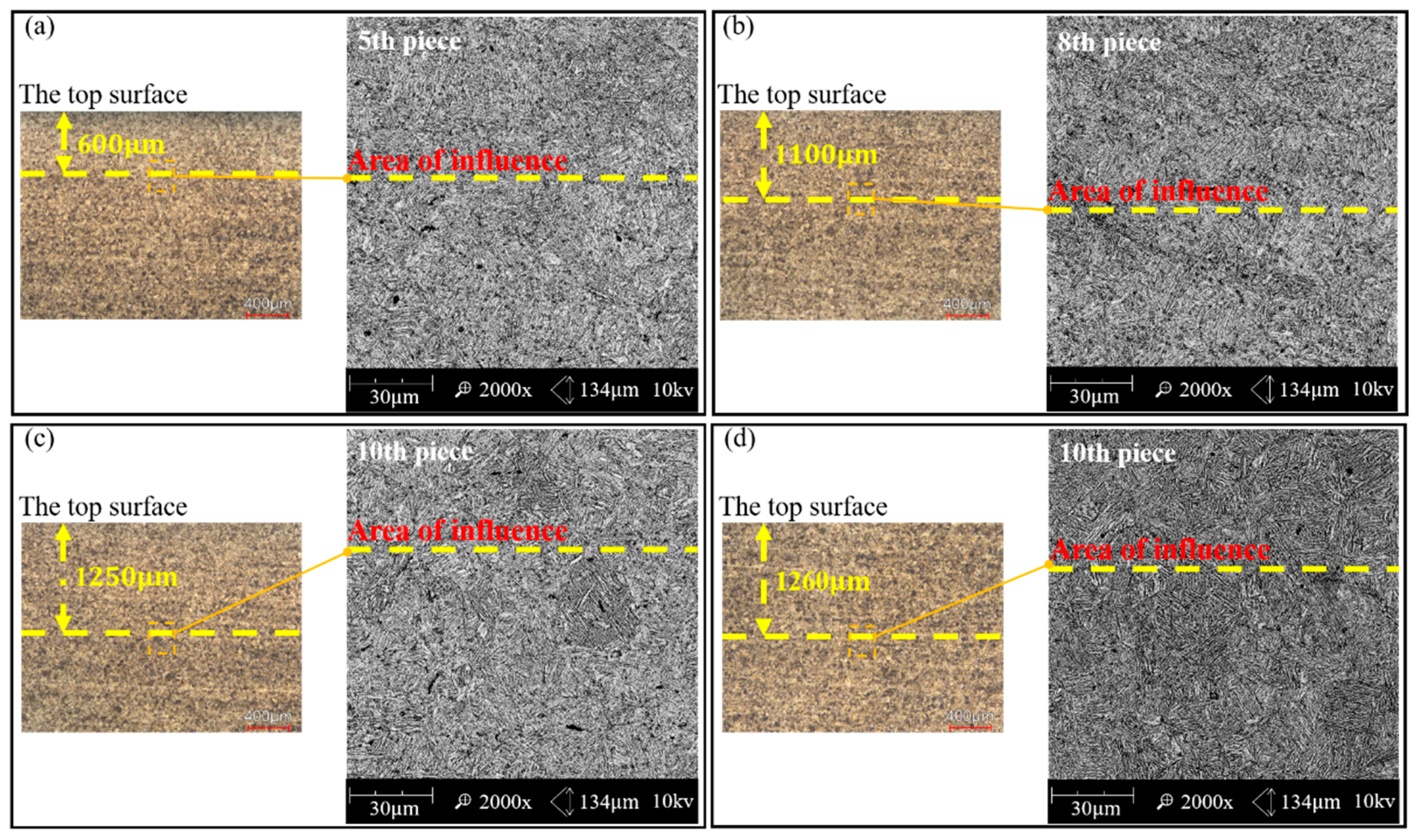 Coatings 12 01872 g014
