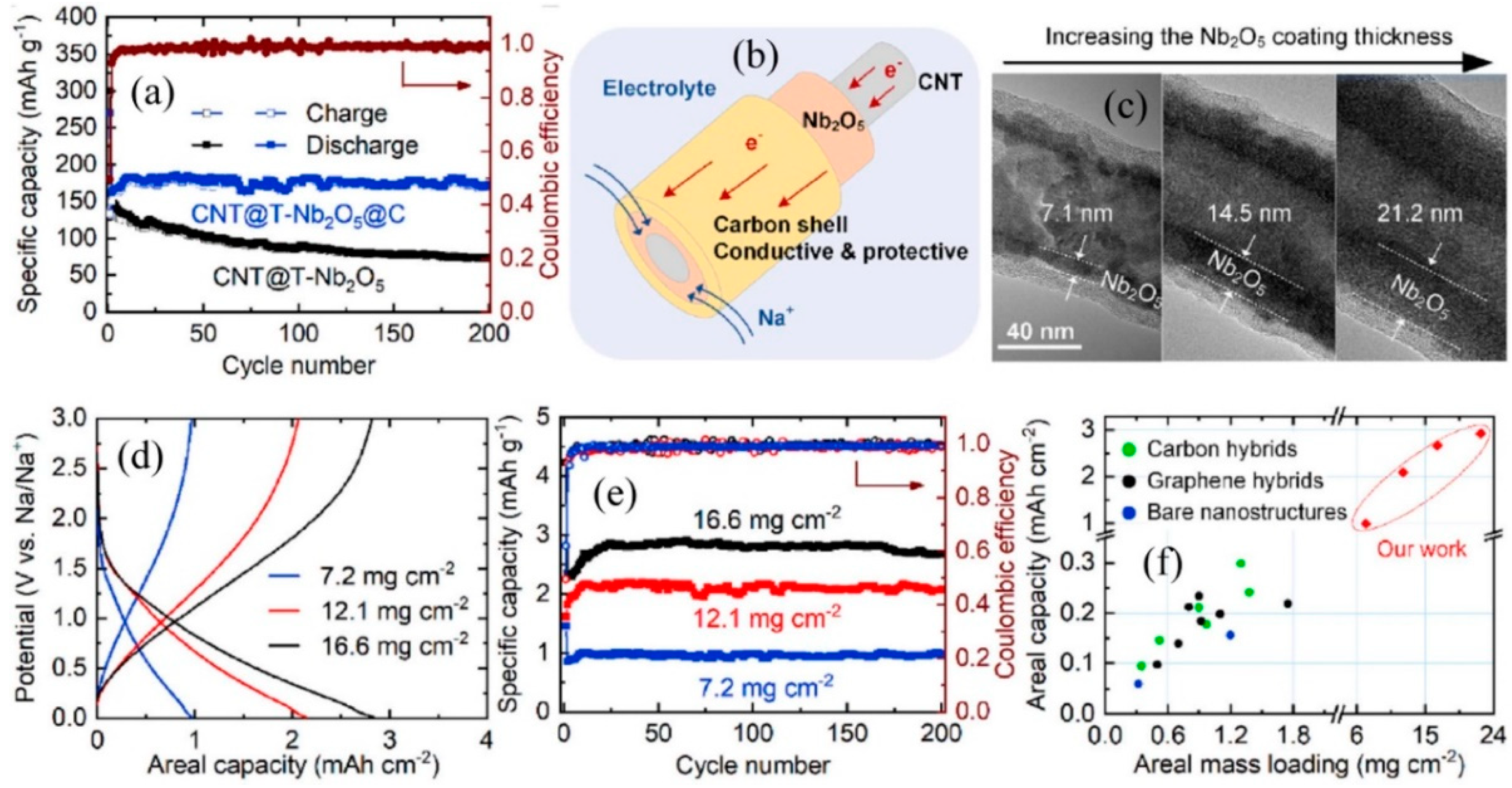Coatings 12 01873 g007
