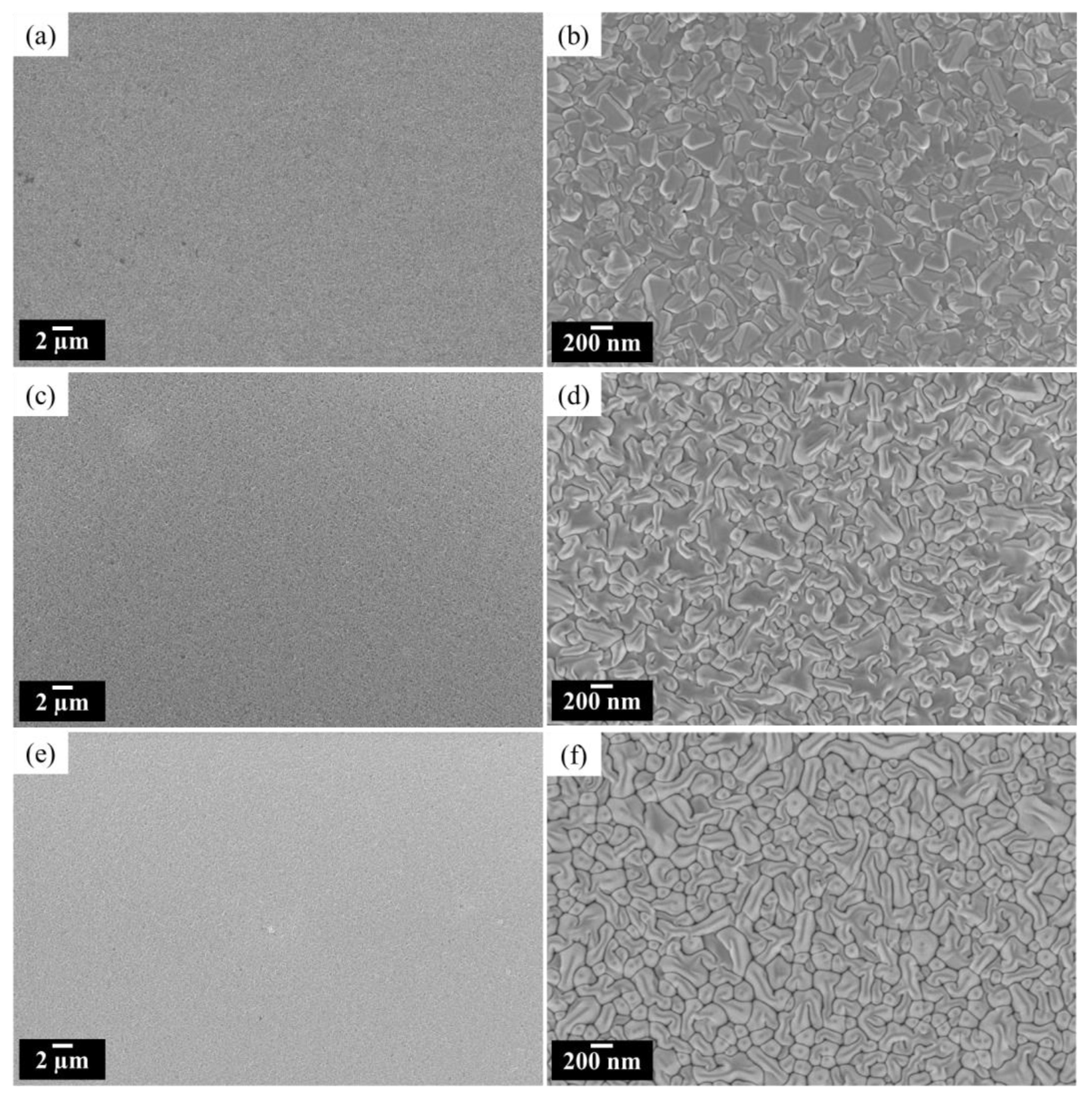 Coatings 12 01876 g003