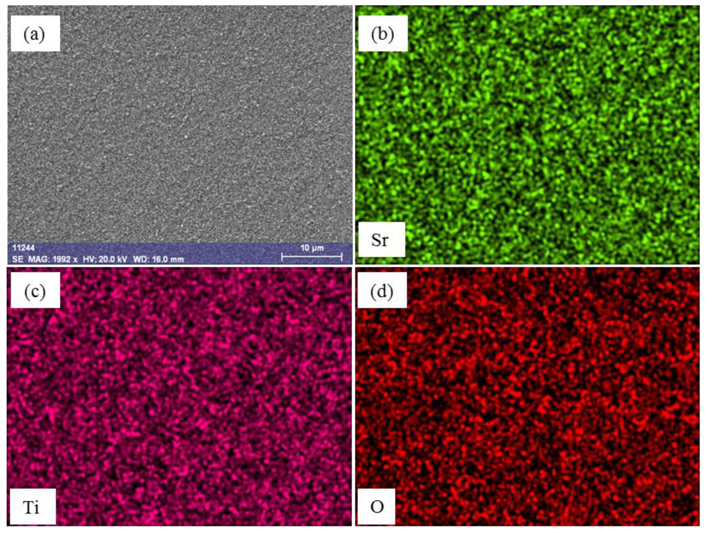 Coatings 12 01876 g005