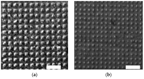 Morphology Features of Ferroelectric Submicron Domains