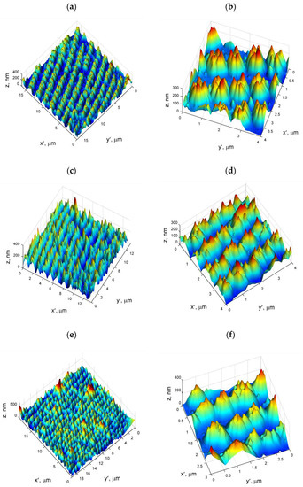 Morphology Features of Ferroelectric Submicron Domains