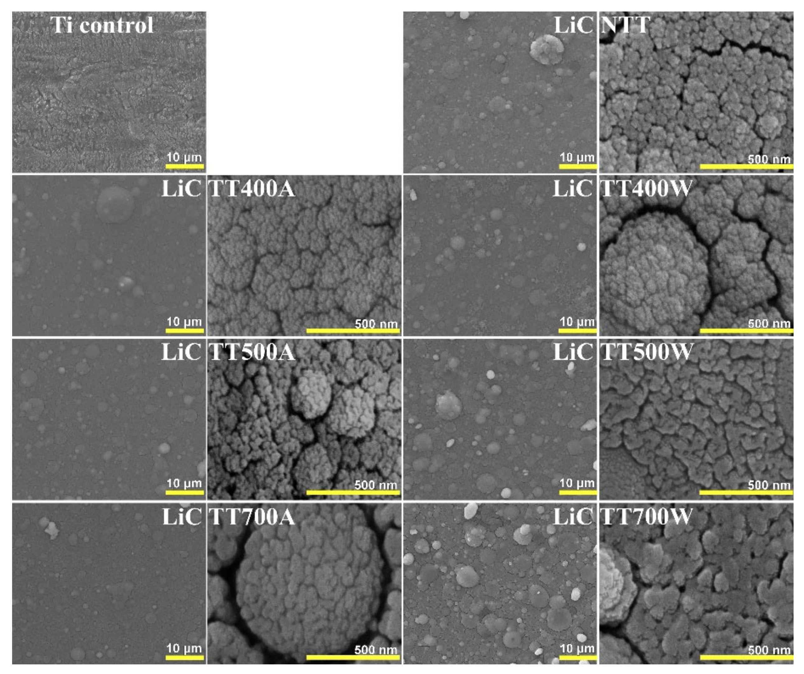 Coatings 12 01883 g004 Coatings 12 01883 g004