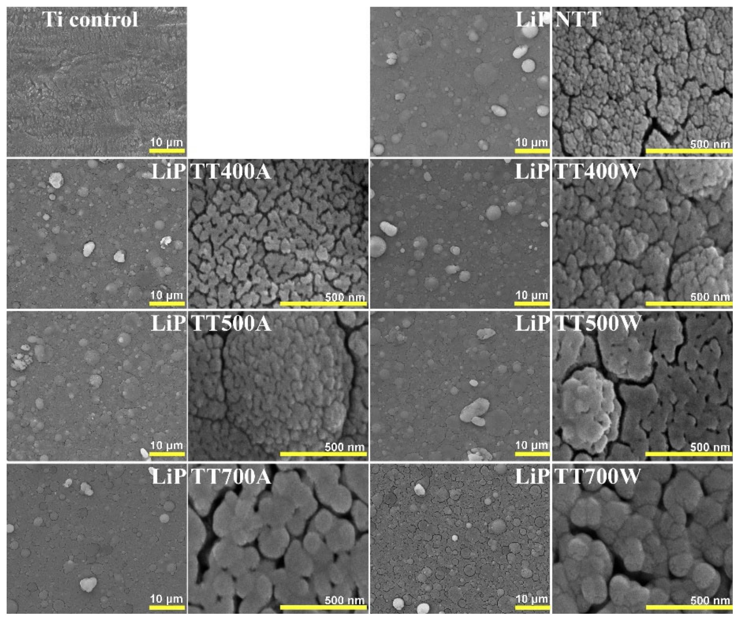 Coatings 12 01883 g005 Coatings 12 01883 g005