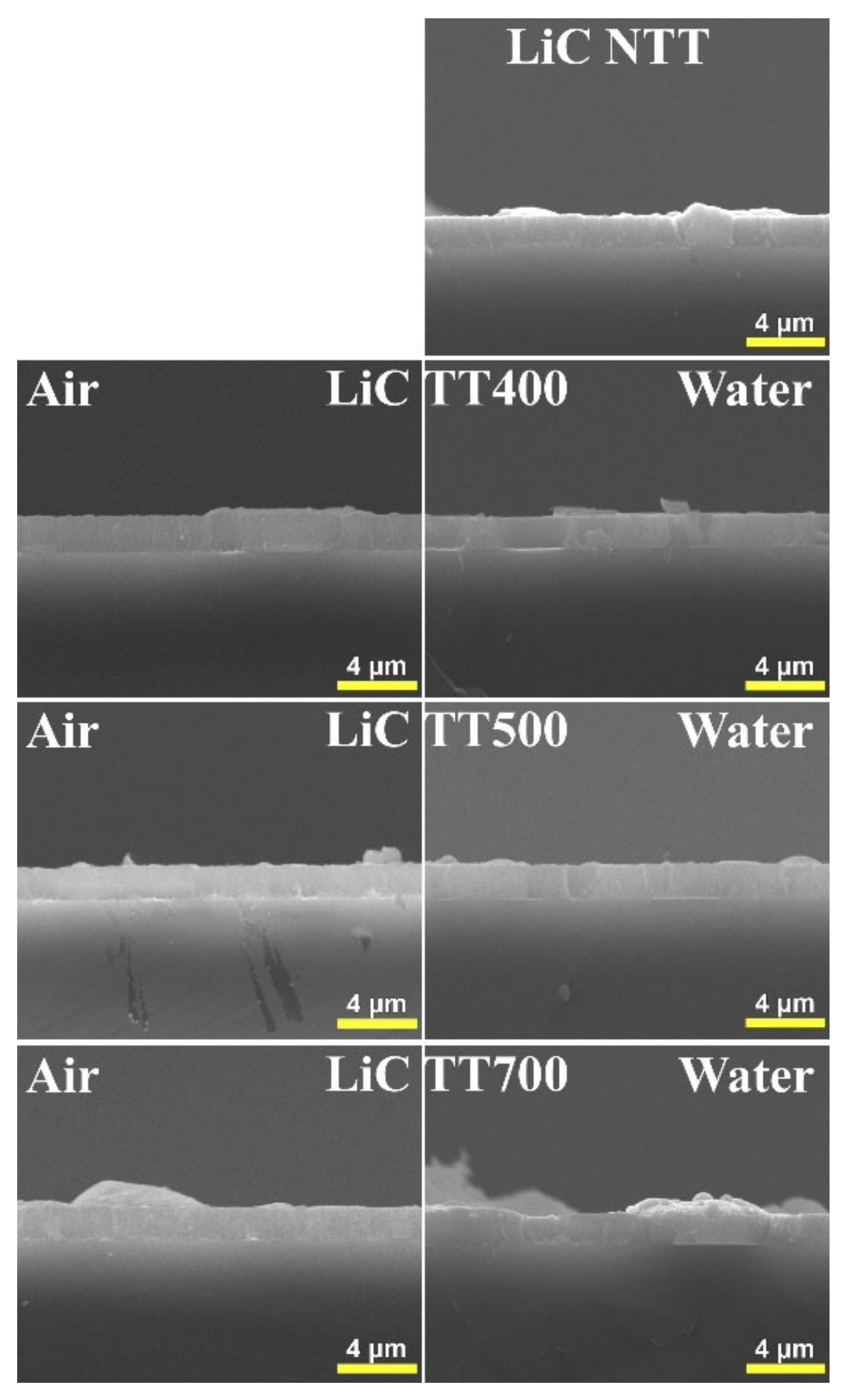 Coatings 12 01883 g006 Coatings 12 01883 g006