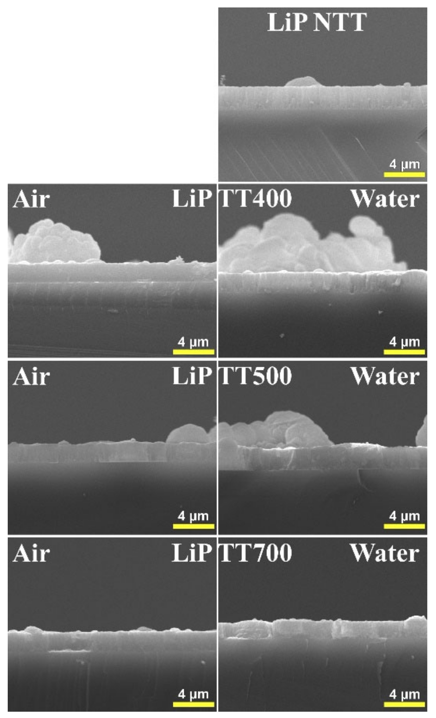 Coatings 12 01883 g007 Coatings 12 01883 g007