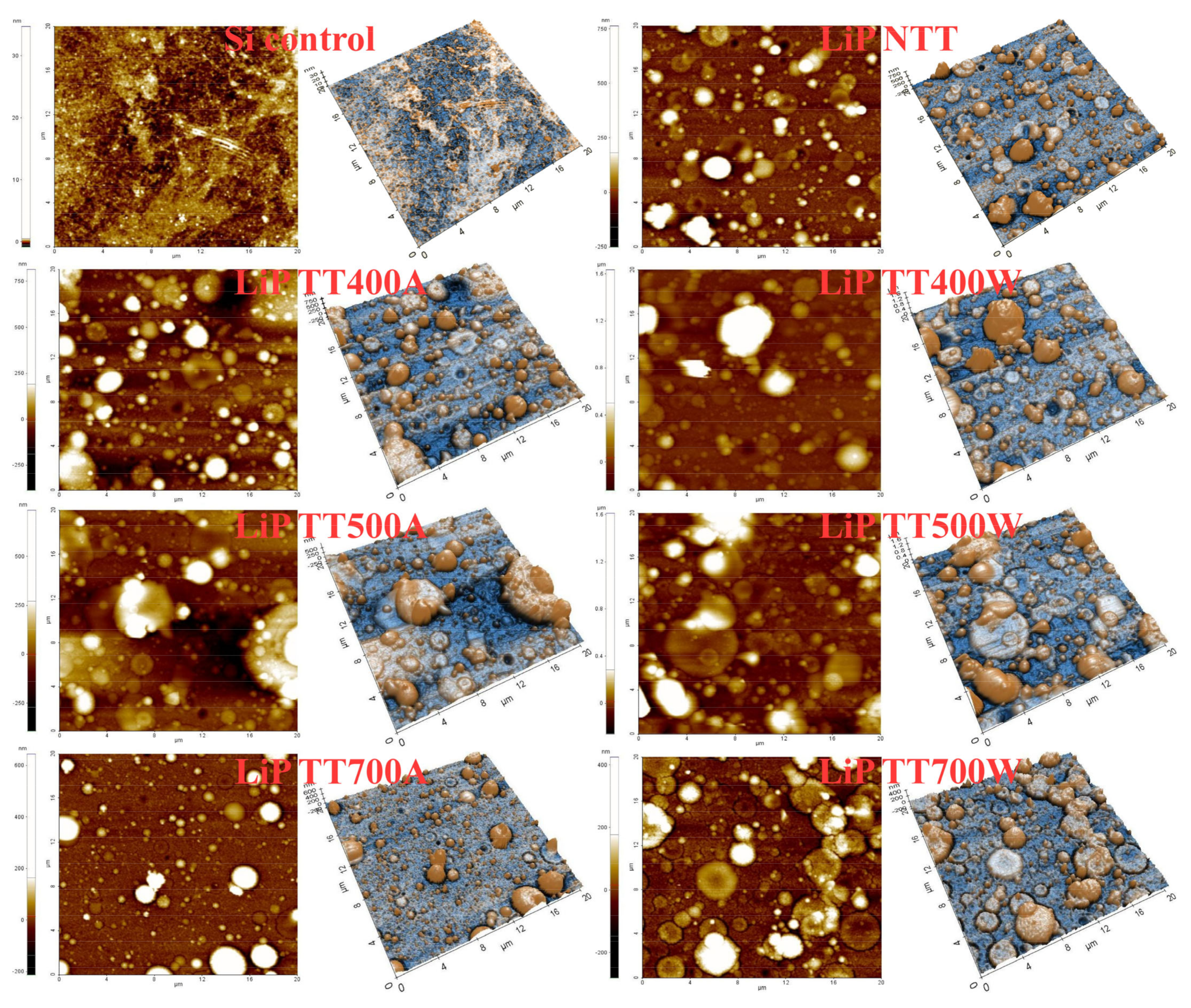 Coatings 12 01883 g009 Coatings 12 01883 g009