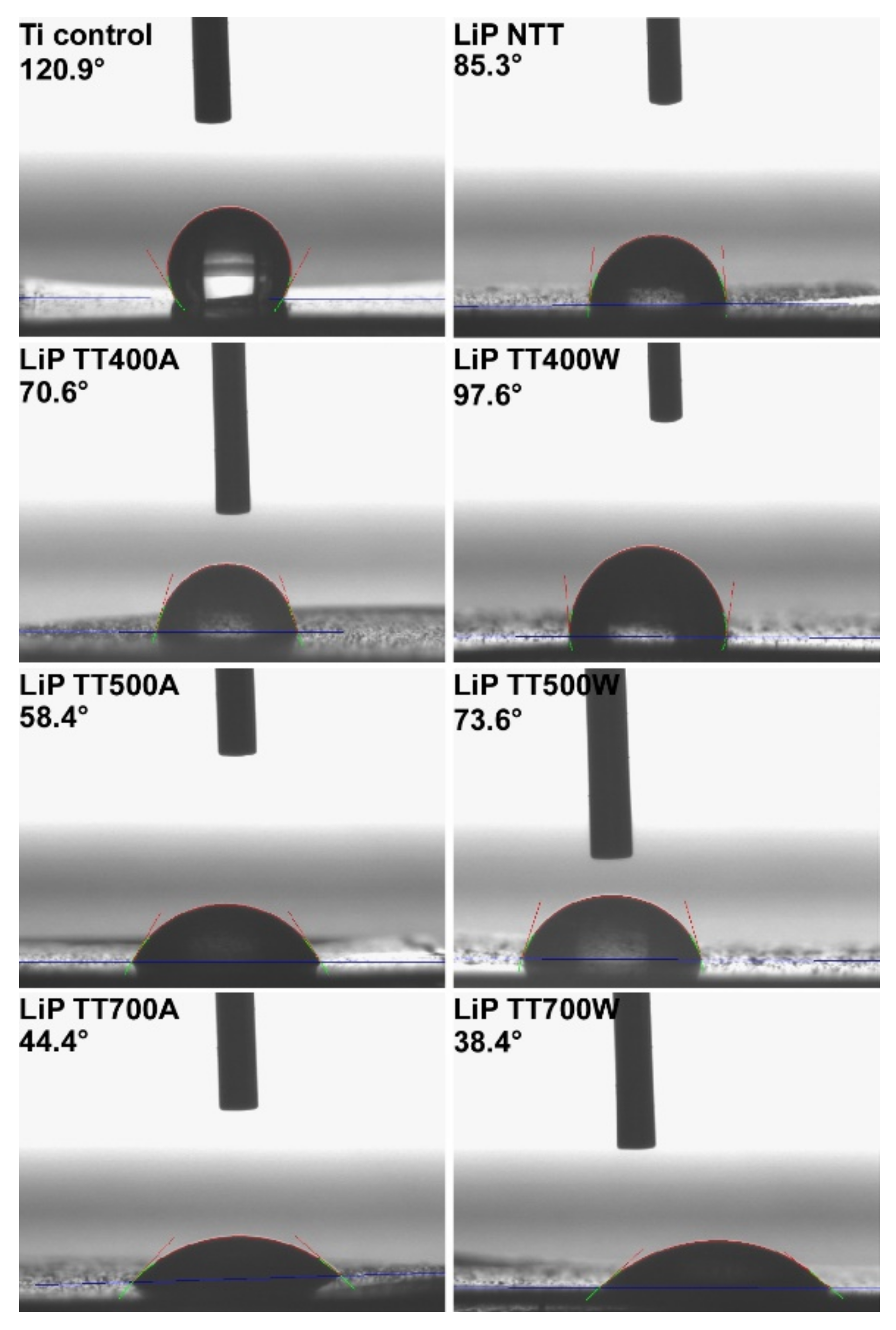 Coatings 12 01883 g014 Coatings 12 01883 g014