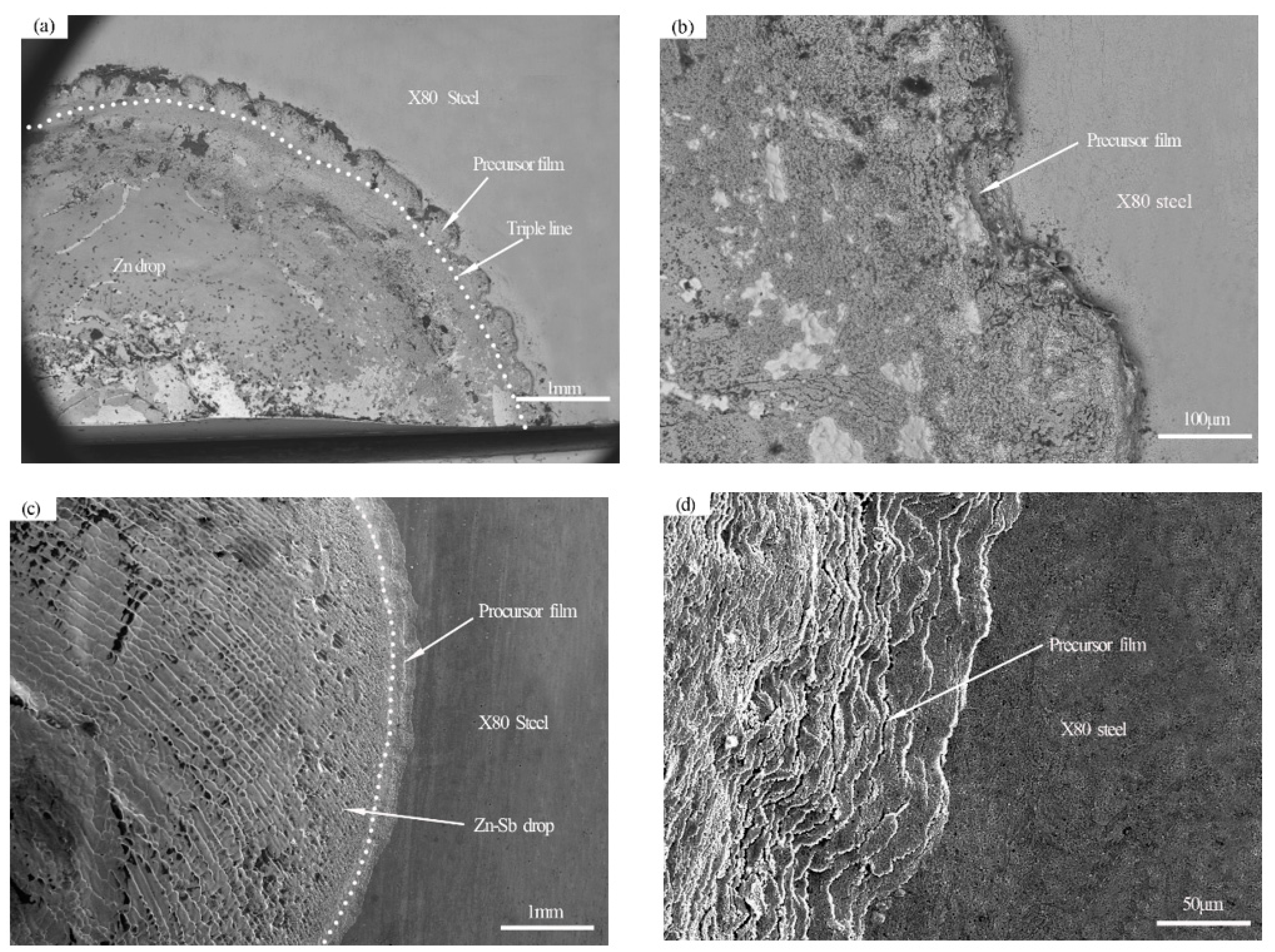 Coatings 12 01890 g003