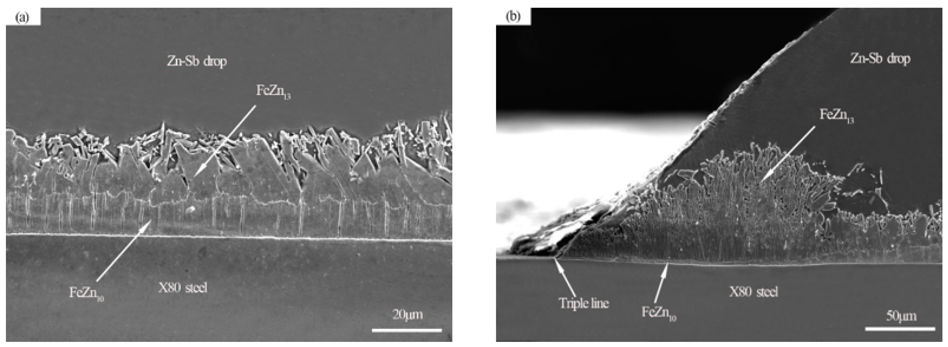 Coatings 12 01890 g005