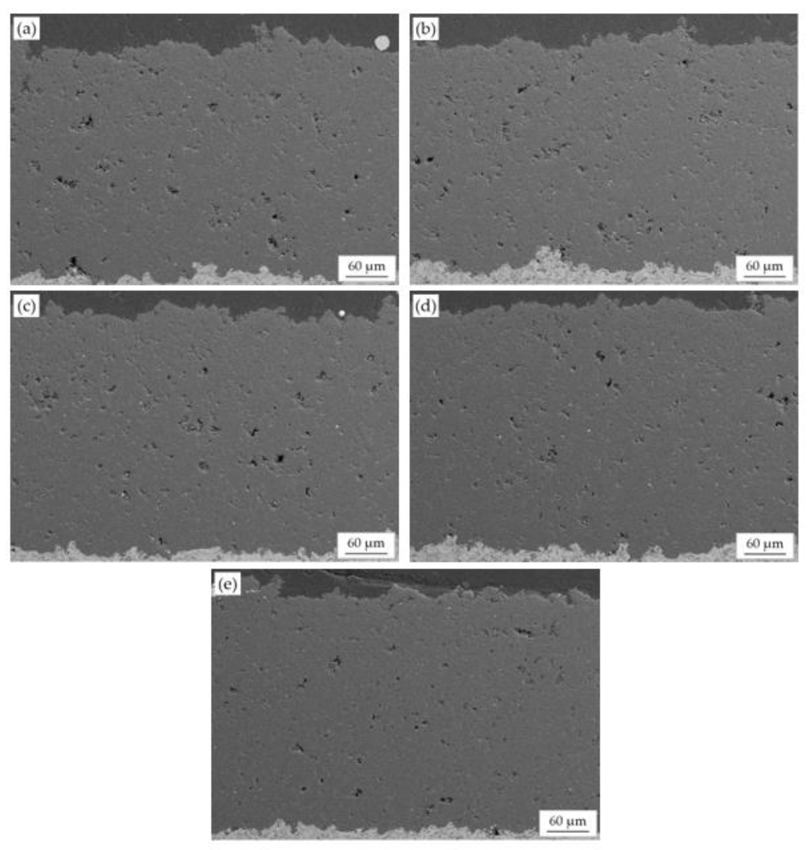 Coatings 12 01891 g006