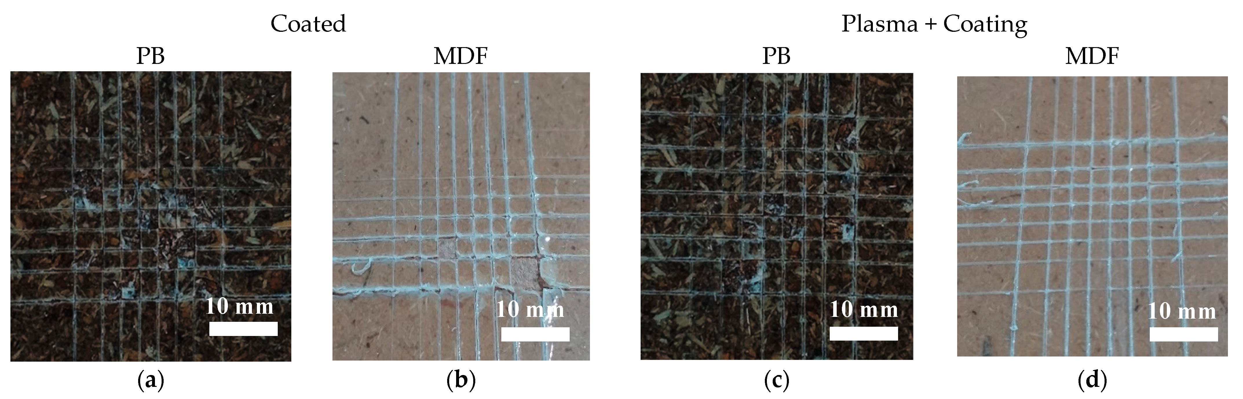 Coatings 12 01894 g008