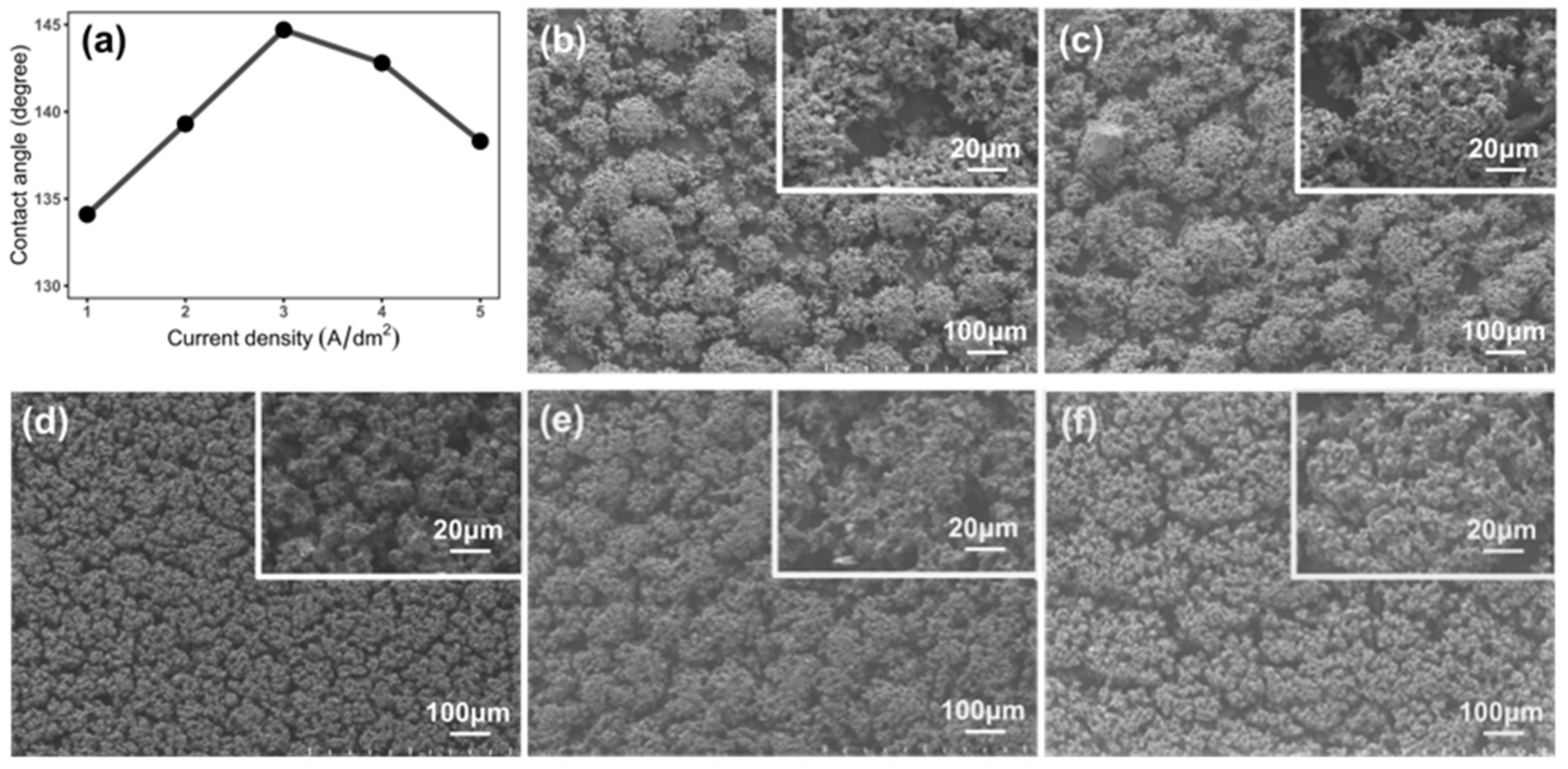 Coatings 12 01897 g004 Coatings 12 01897 g004