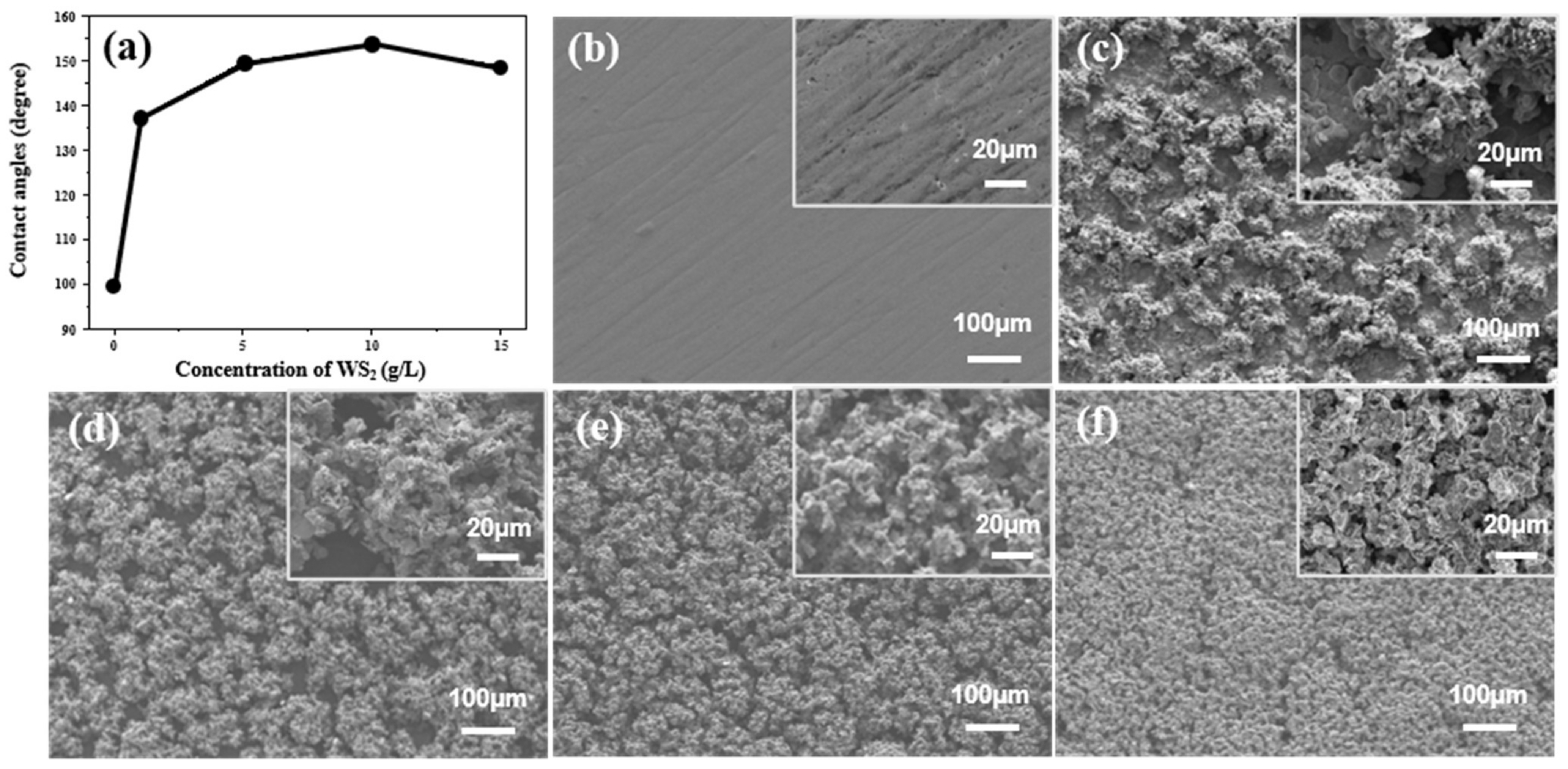 Coatings 12 01897 g011 Coatings 12 01897 g011