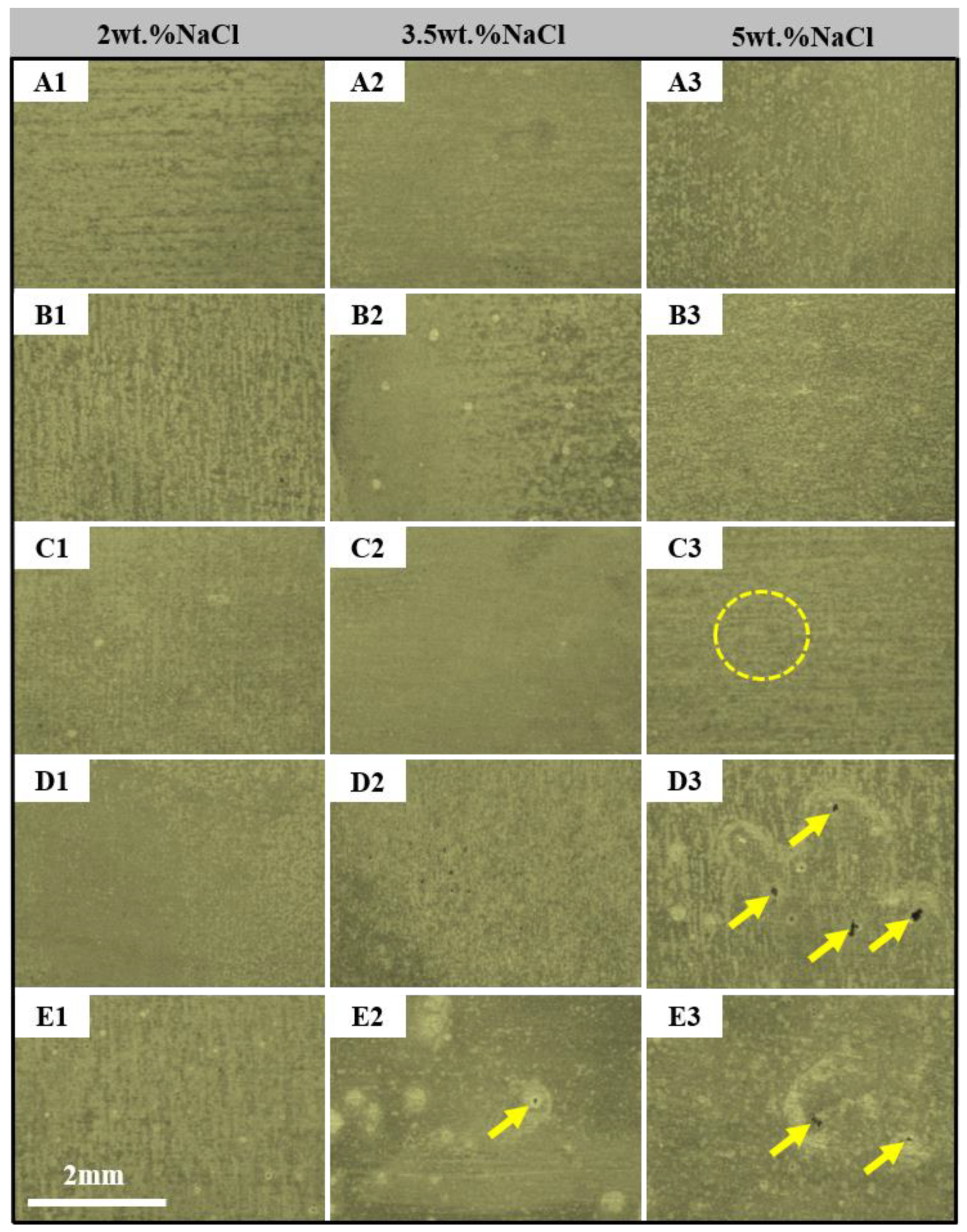 Coatings 12 01899 g002