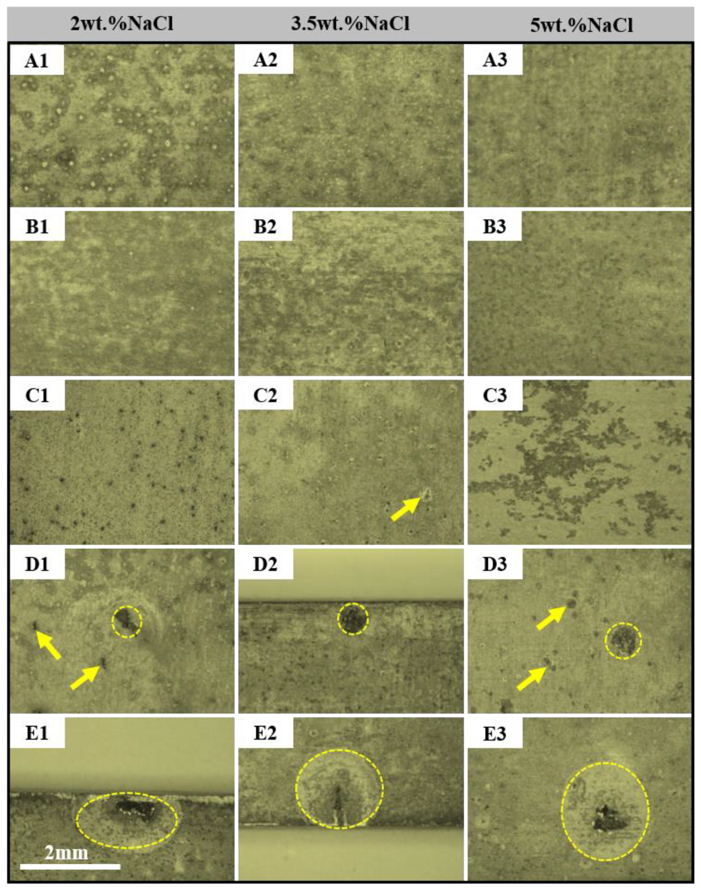 Coatings 12 01899 g003