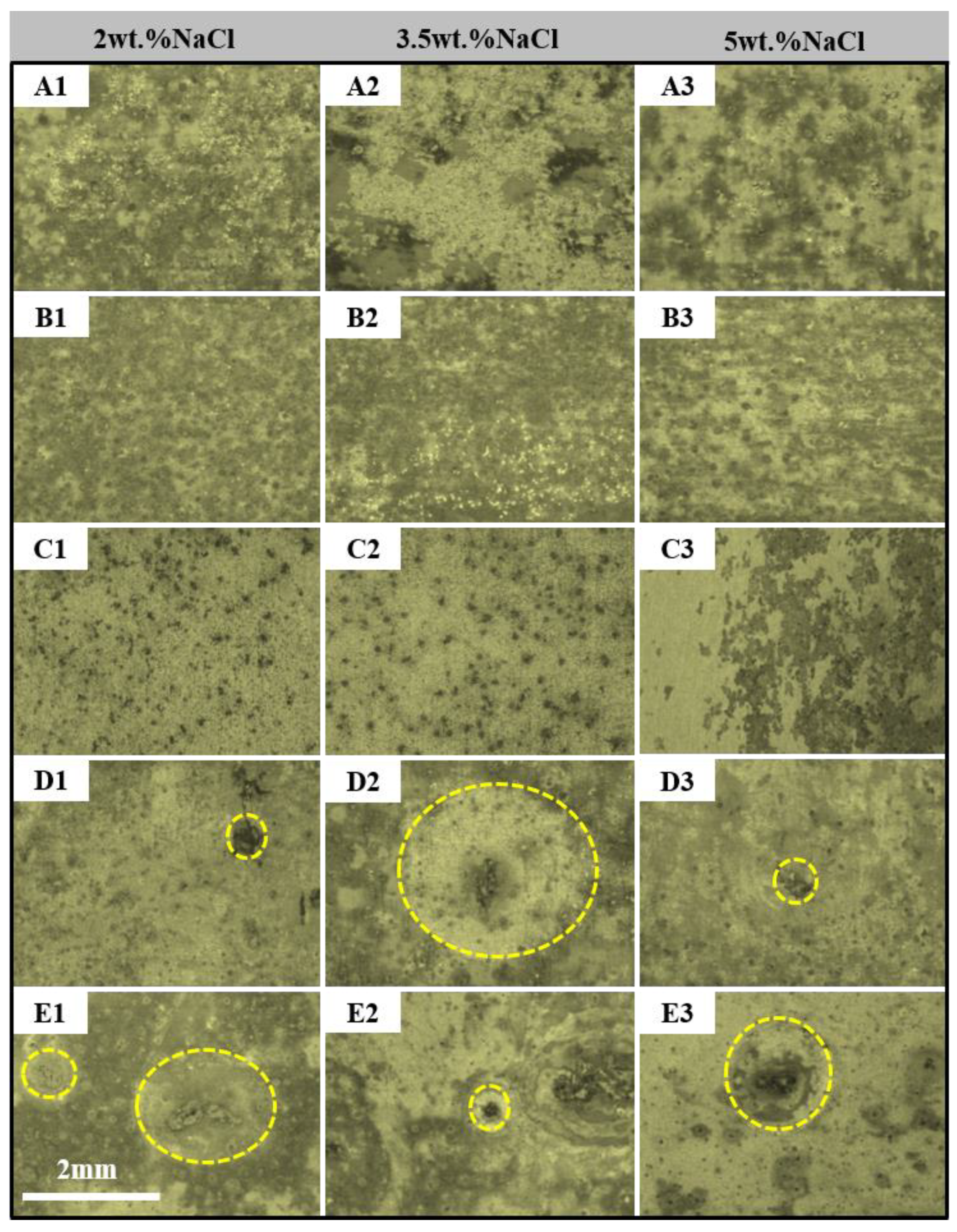 Coatings 12 01899 g005
