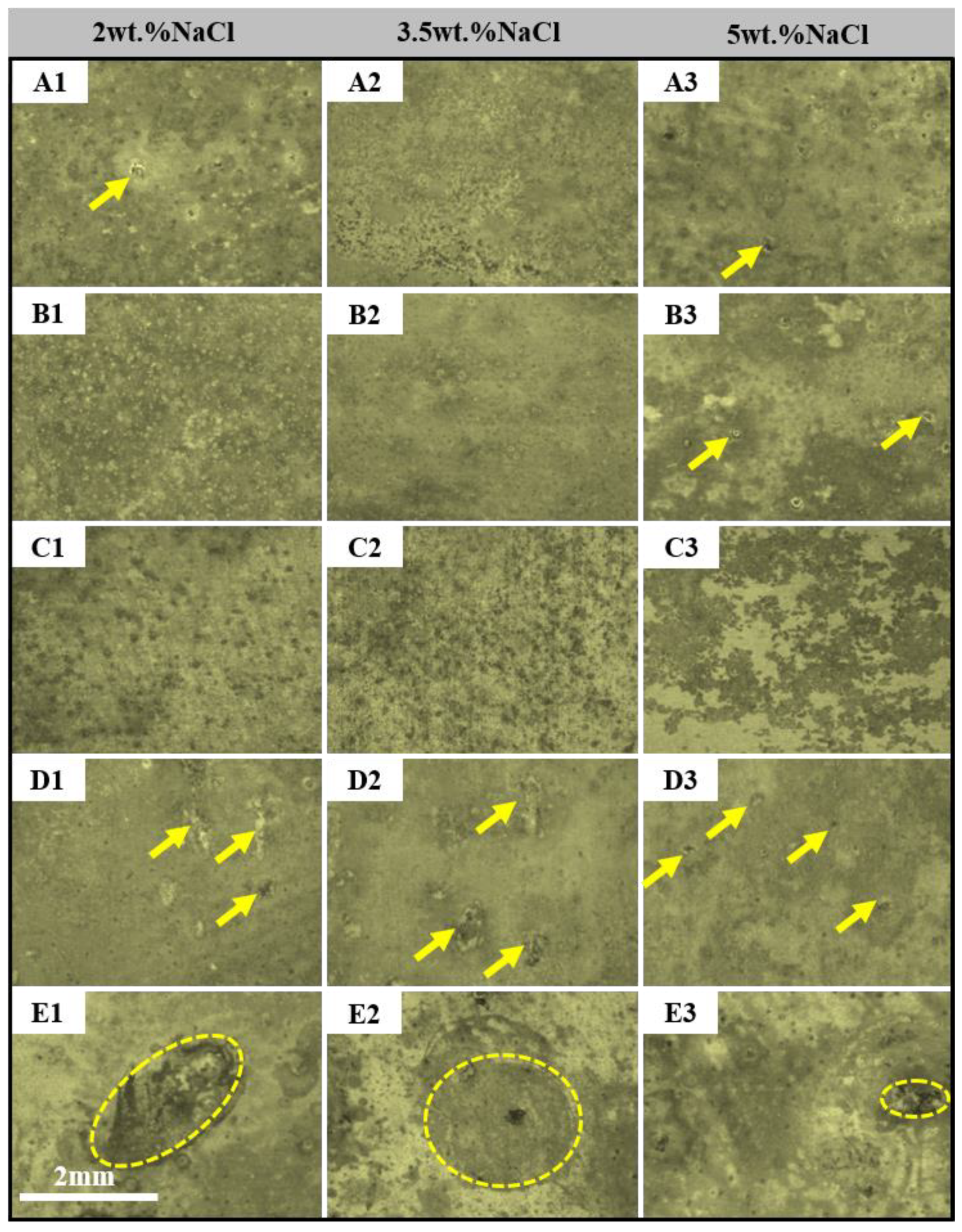 Coatings 12 01899 g008