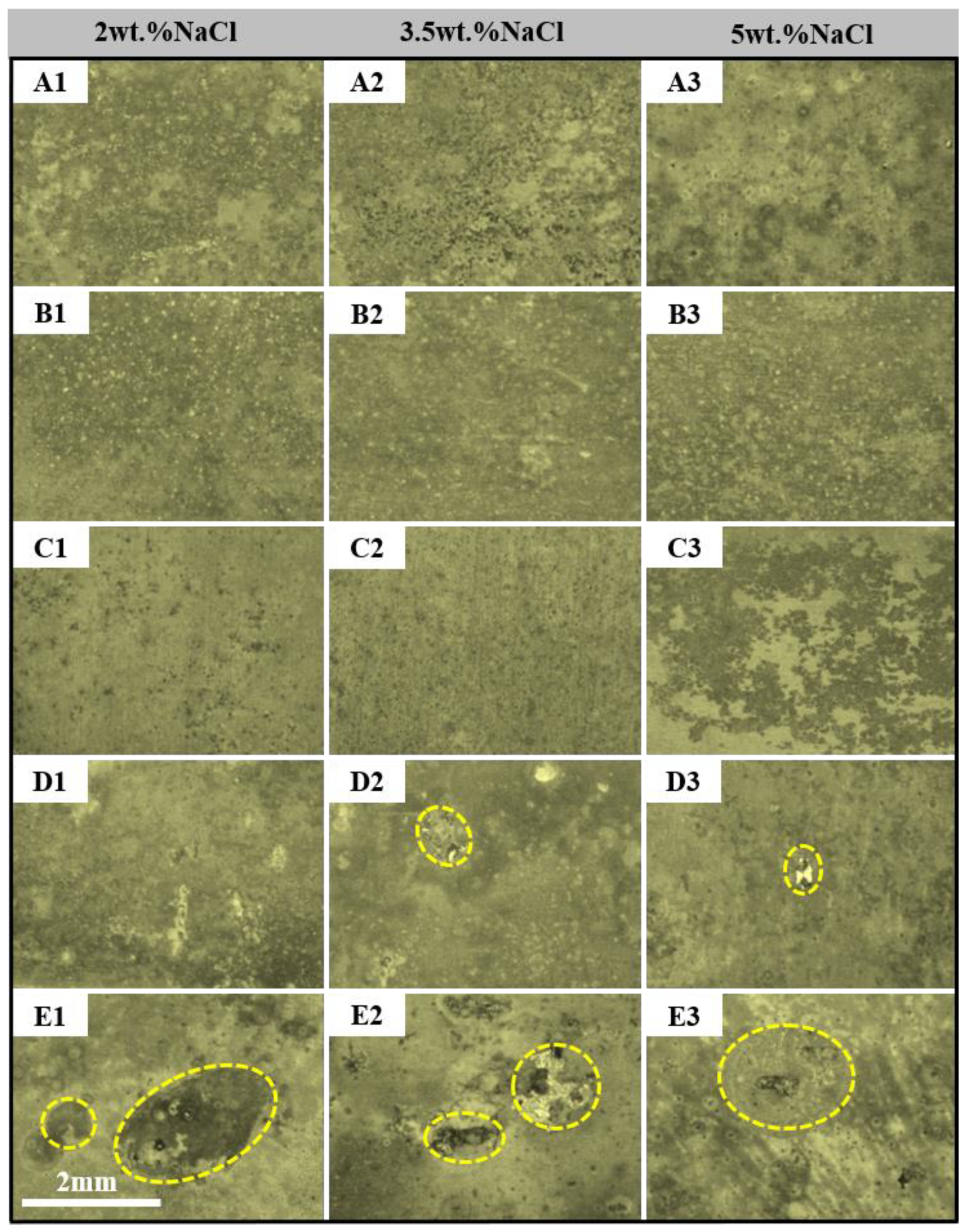 Coatings 12 01899 g010