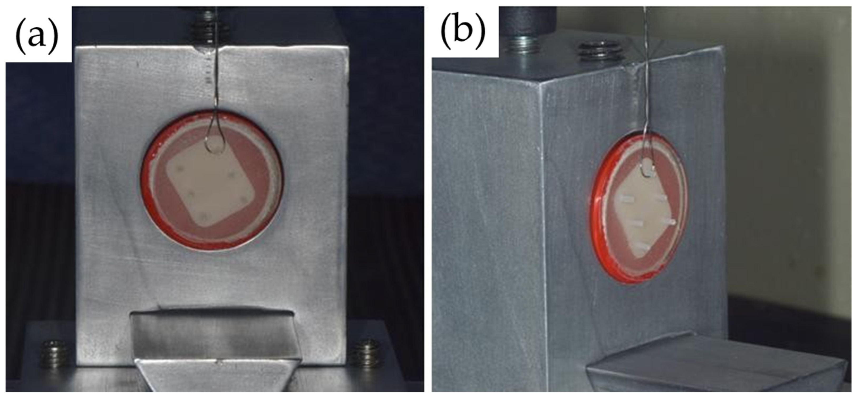 Influence of Optional Crystallization Firing on the Adhesion Influence of Optional Crystallization Firing on the Adhesion