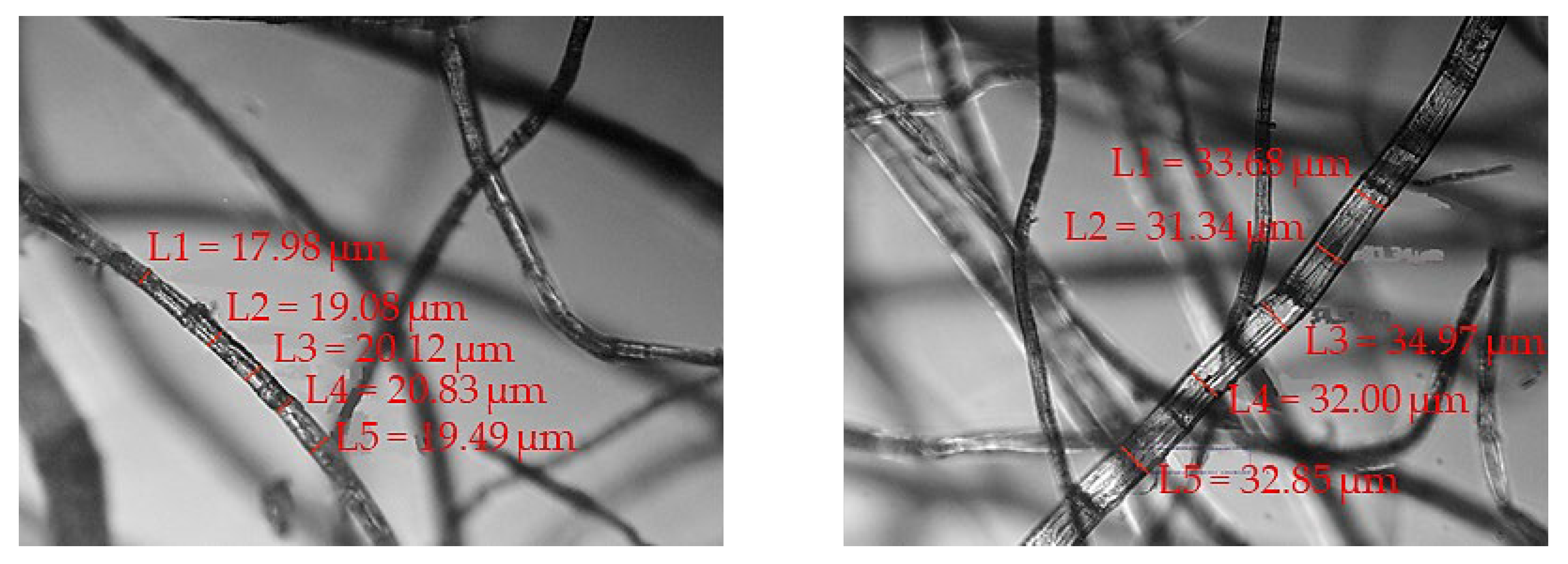 Coatings 12 01907 g005