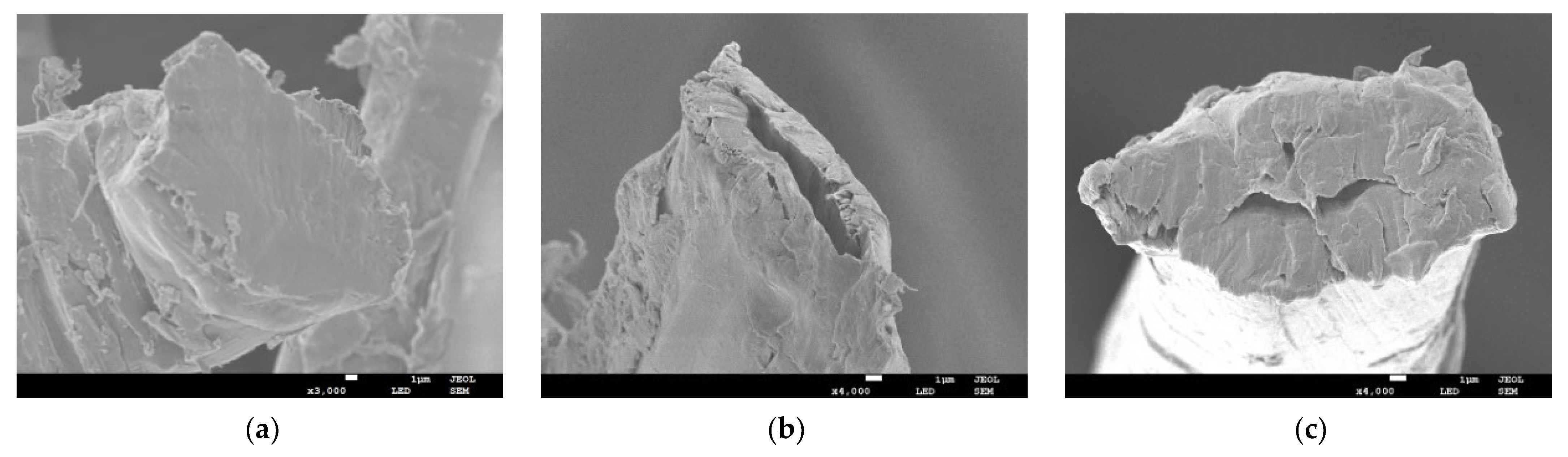 Coatings 12 01907 g007