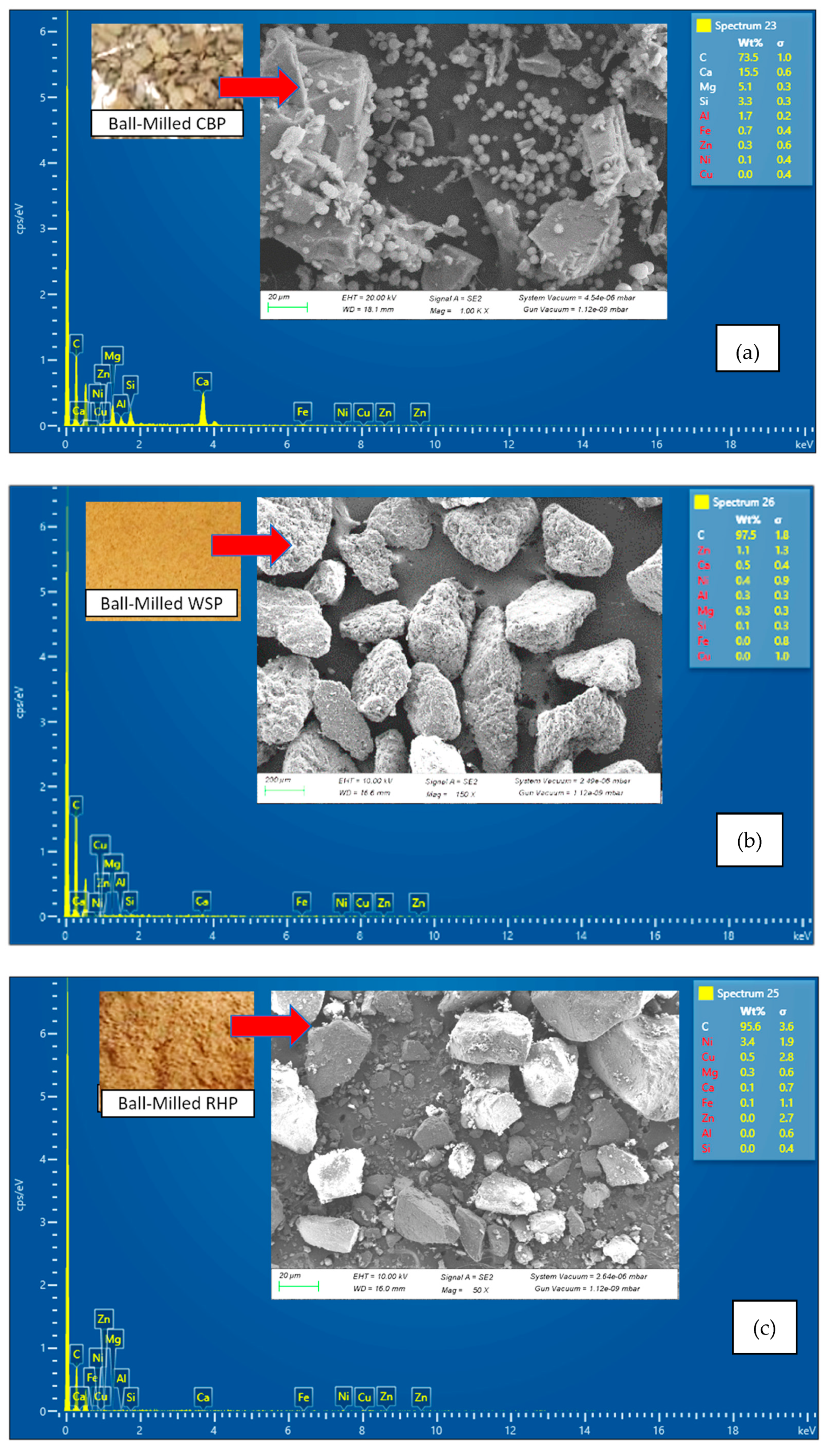 Coatings 12 01909 g001