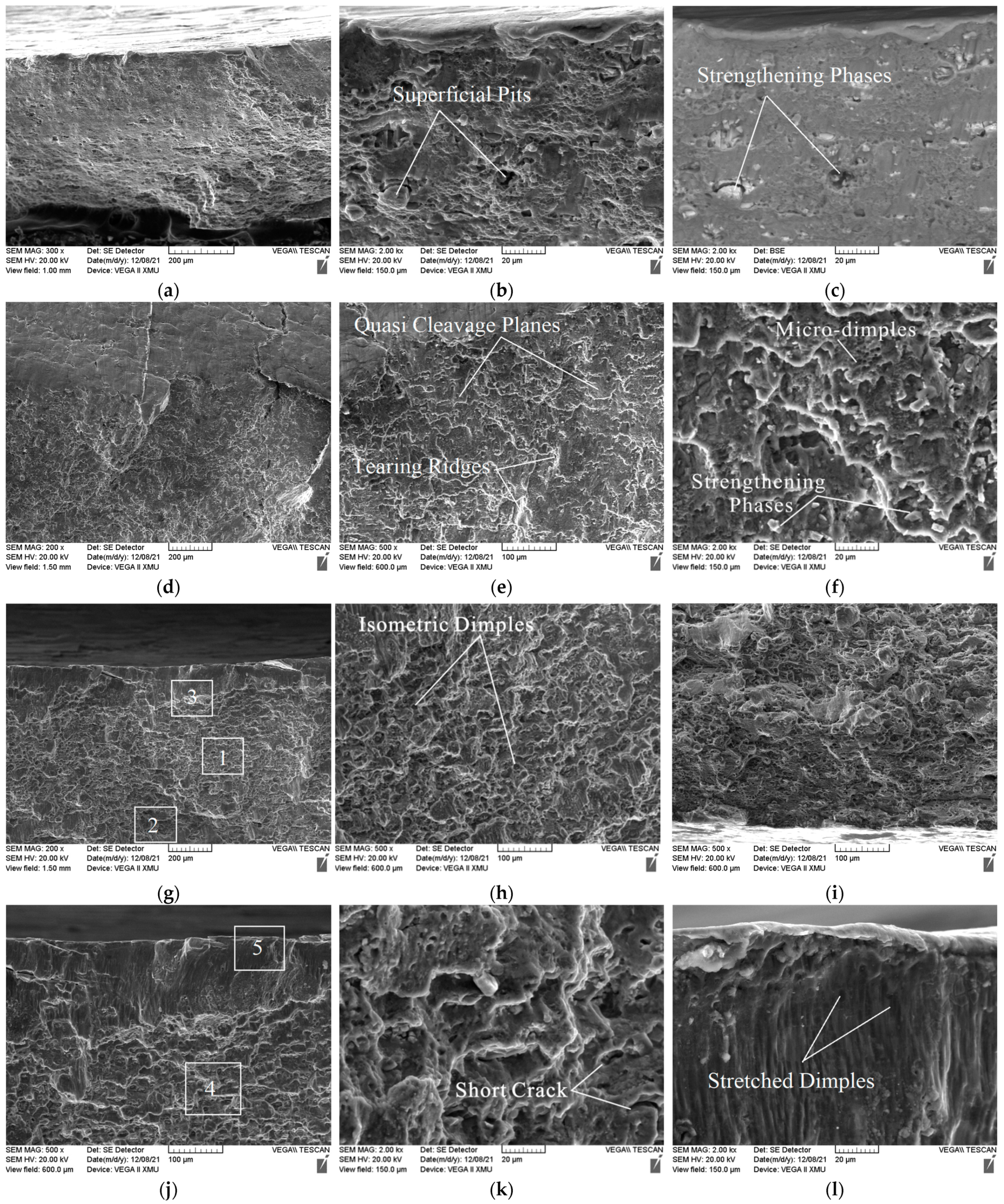 Coatings 12 01914 g007