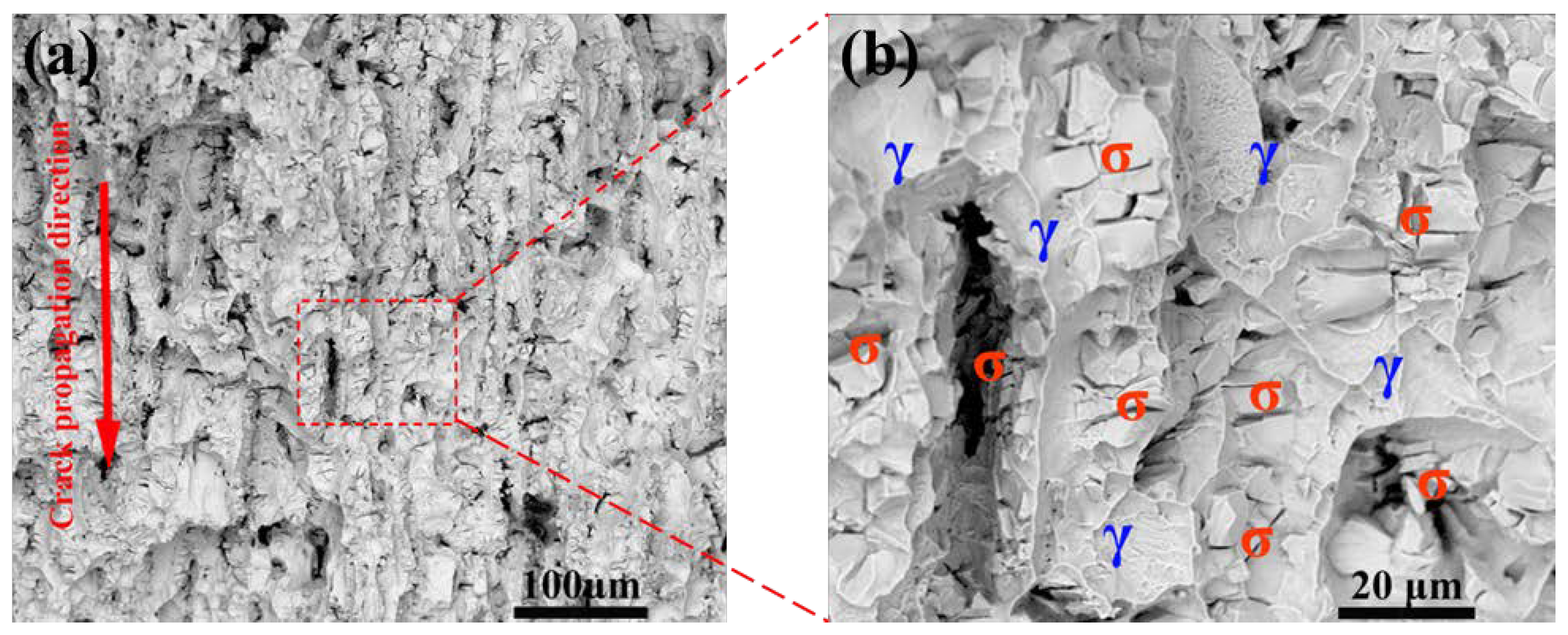 Coatings 12 01917 g005