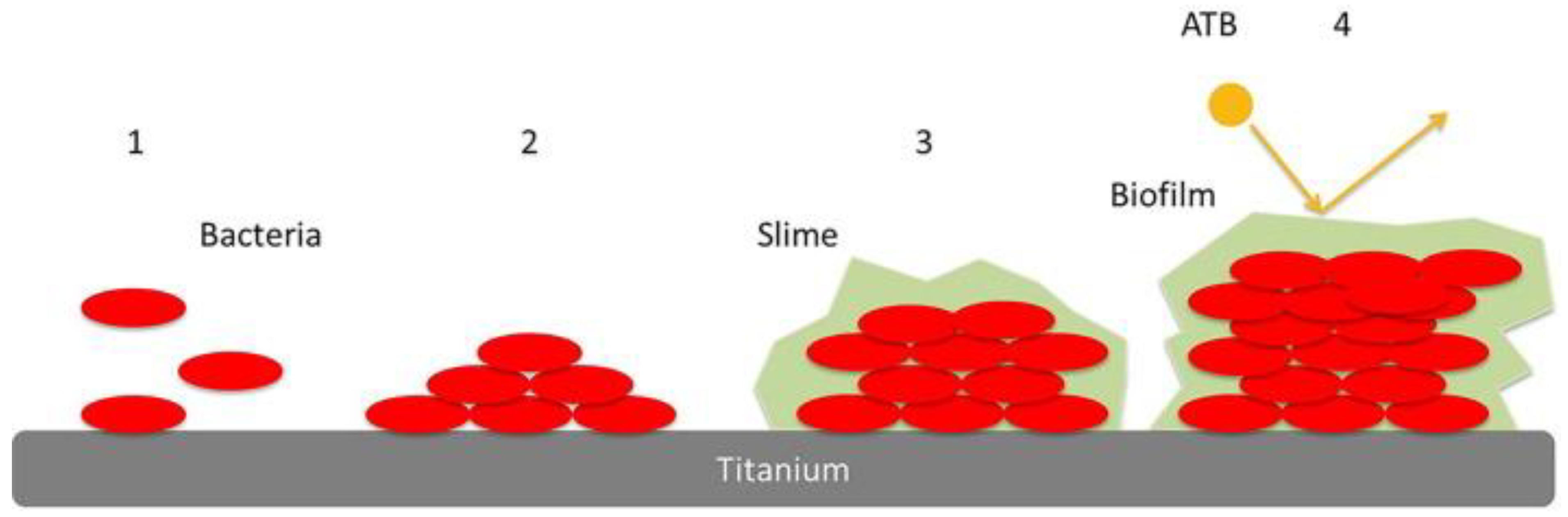 Coatings 12 01921 g001