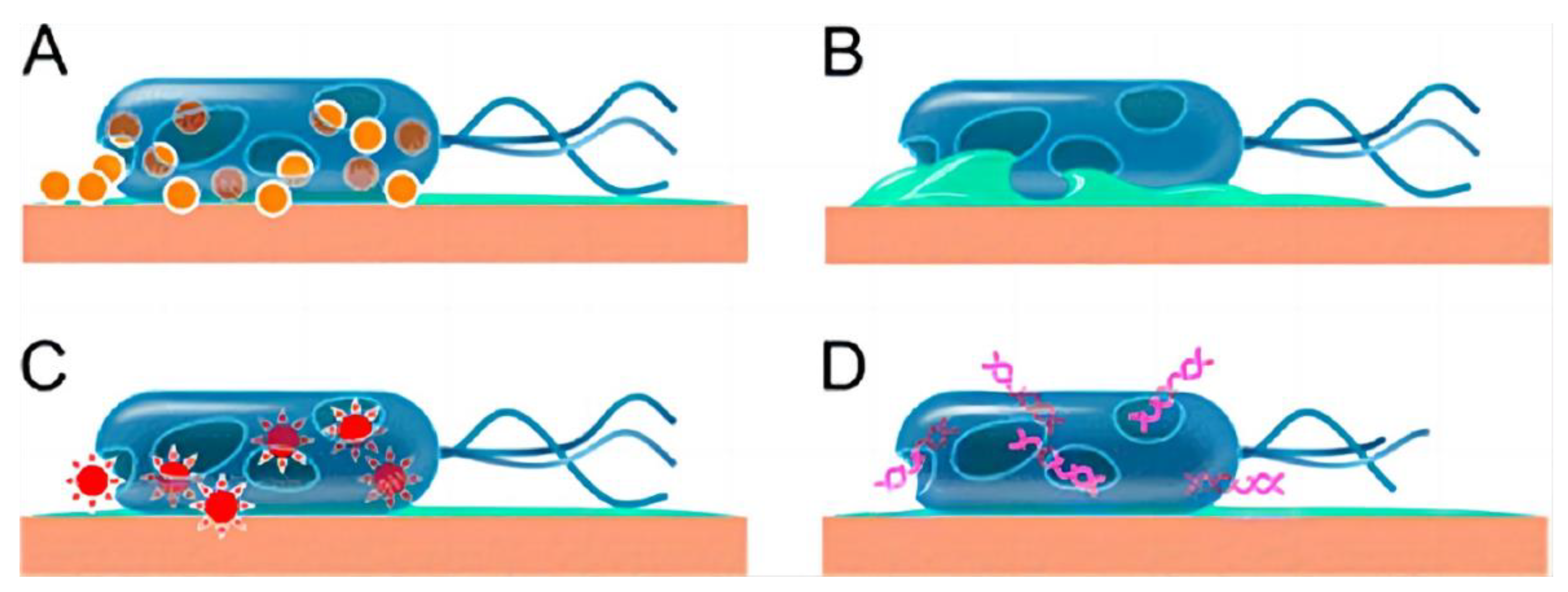Coatings 12 01921 g004